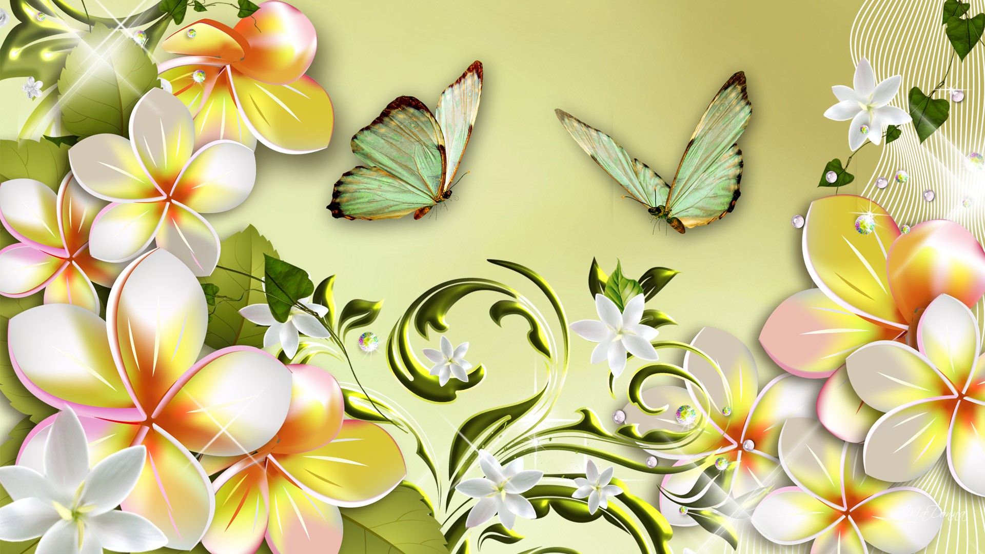 415071 завантажити картинку художній, квітка, метелик, плюмерія, білий, флауерзи - шпалери і заставки безкоштовно