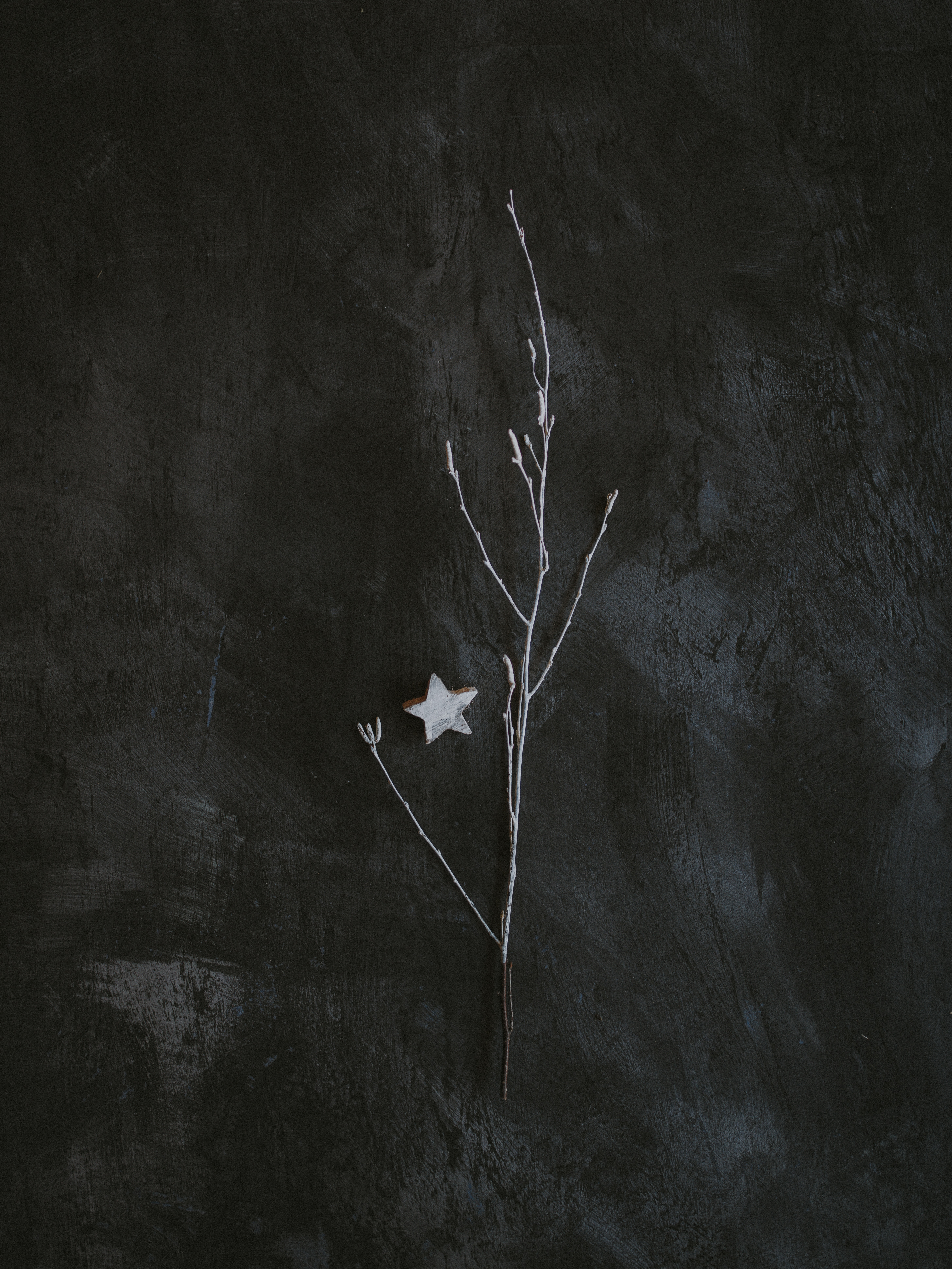 Mobile wallpaper grey, minimalism, miscellanea, miscellaneous, branch, star