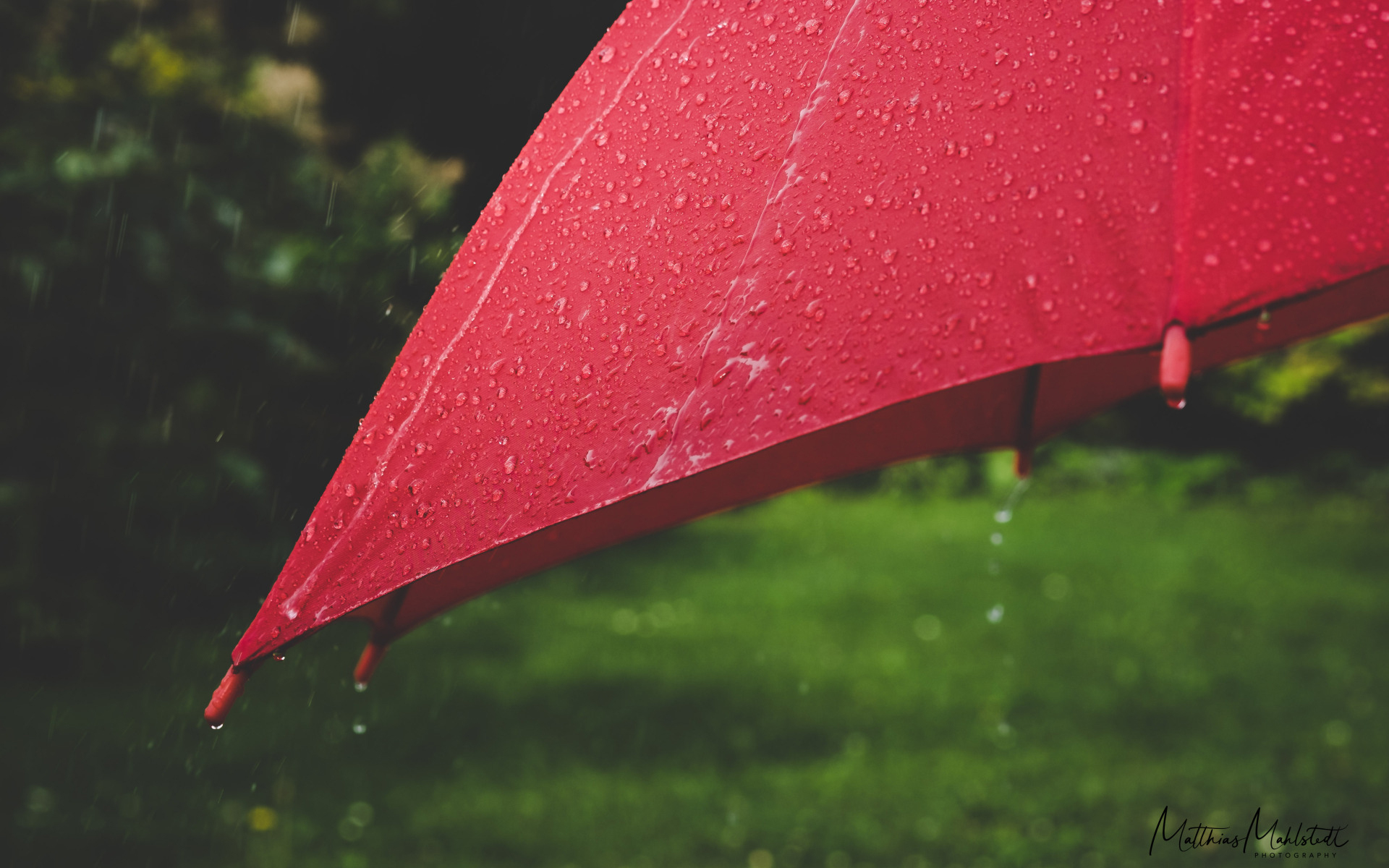 Download mobile wallpaper Rain, Umbrella, Photography, Raindrops for free.