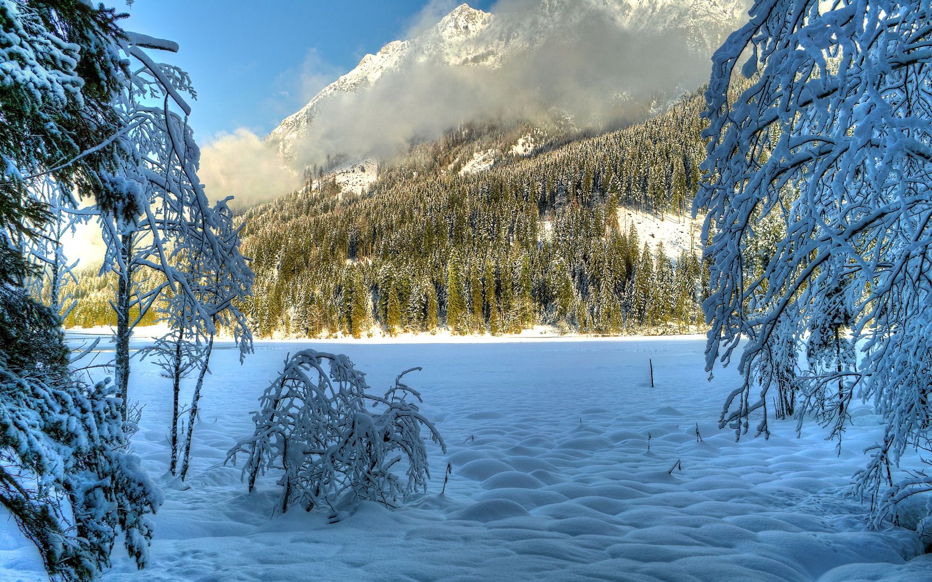 Baixe gratuitamente a imagem Natureza, Árvores, Nuvens, Neve, As Colinas, Hills, Coberto De Neve, Ensolarado, Nevado, Inverno na área de trabalho do seu PC