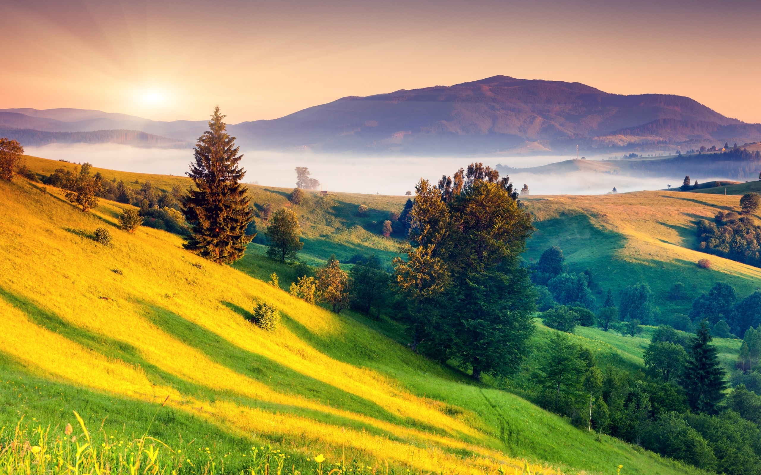 Laden Sie das Landschaft, Erde/natur-Bild kostenlos auf Ihren PC-Desktop herunter