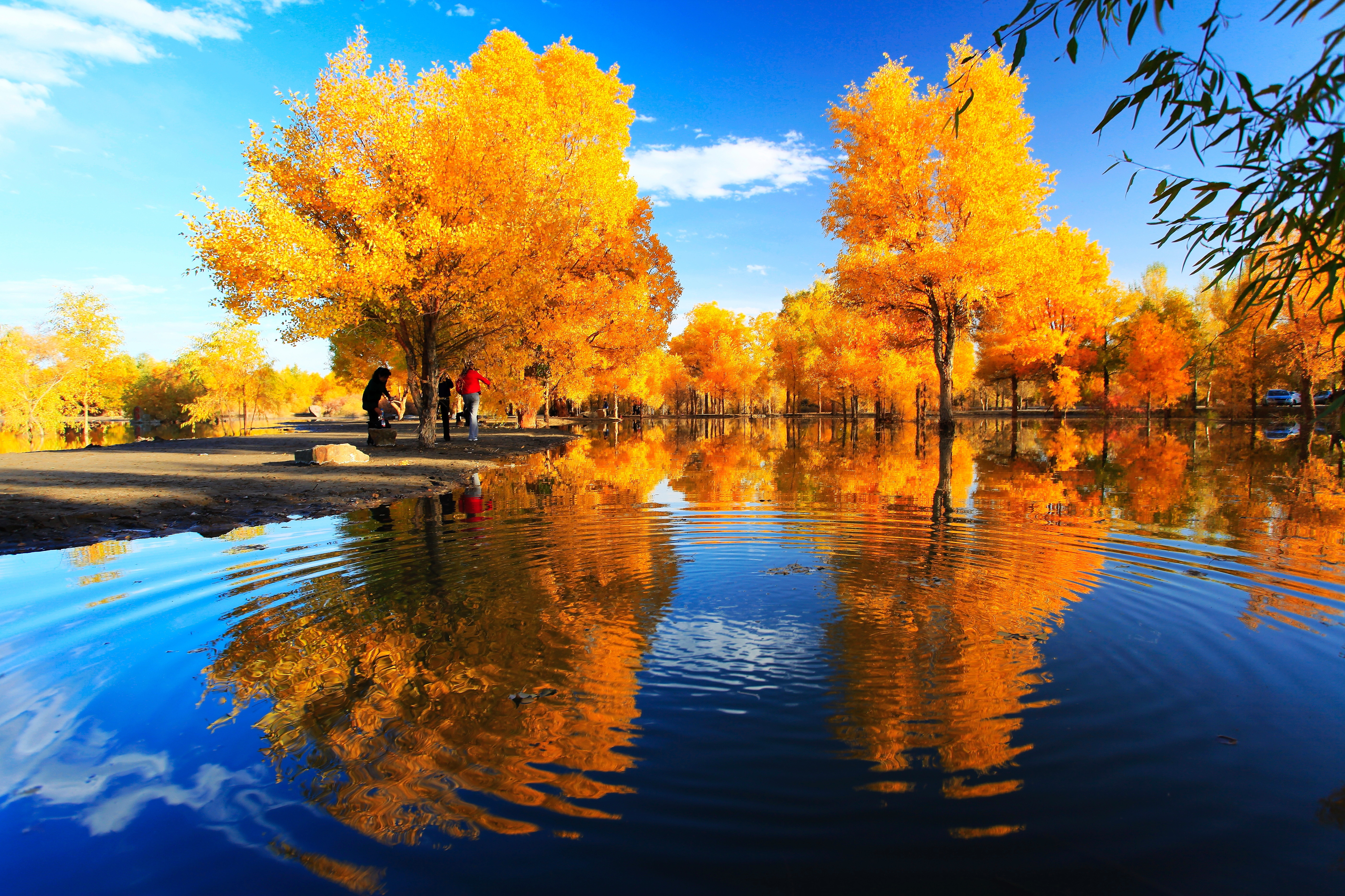 Download mobile wallpaper Landscape, Reflection, Park, Tree, Fall, China, Photography for free.