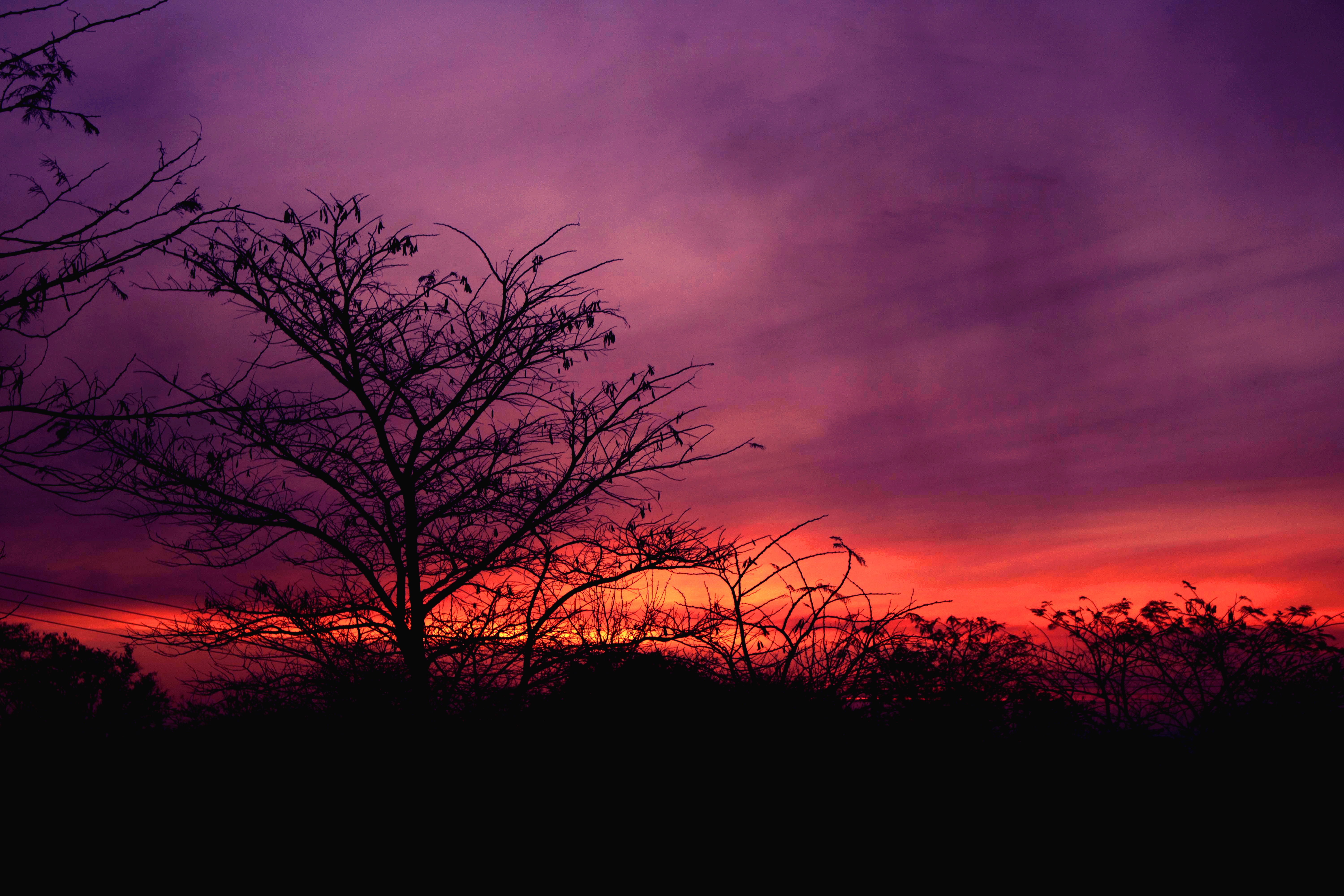 Laden Sie das Natur, Sunset, Sky, Holz, Baum, Clouds-Bild kostenlos auf Ihren PC-Desktop herunter