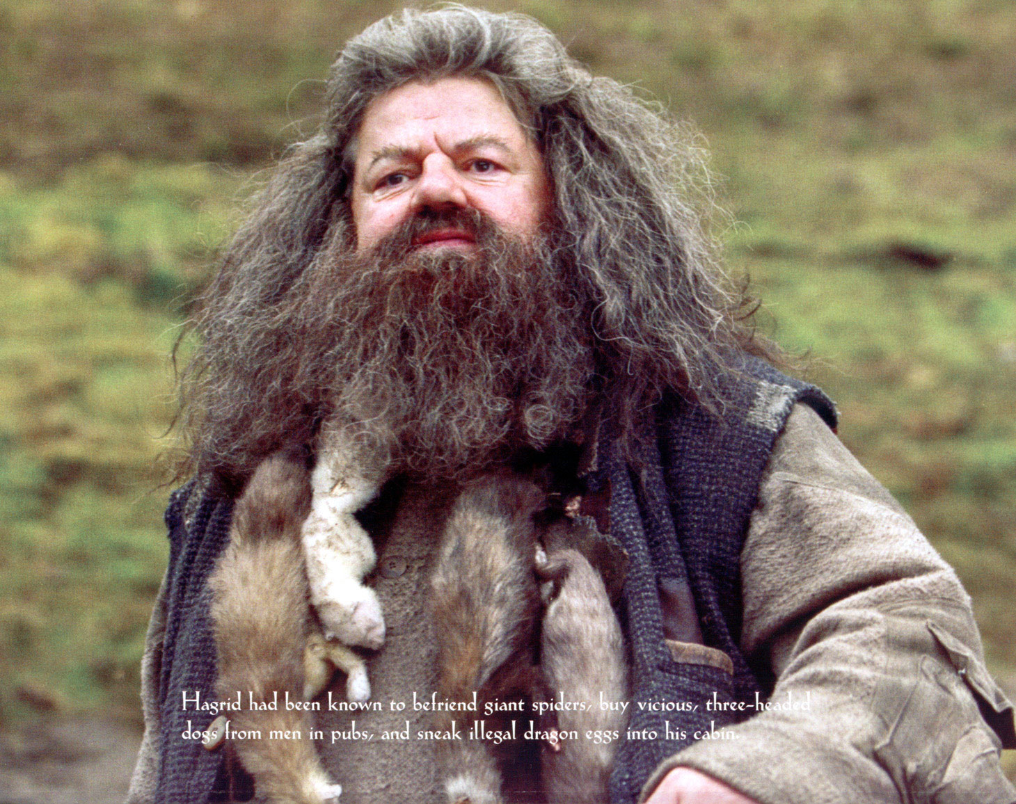 Die besten Rubeus Hagrid-Hintergründe für den Telefonbildschirm