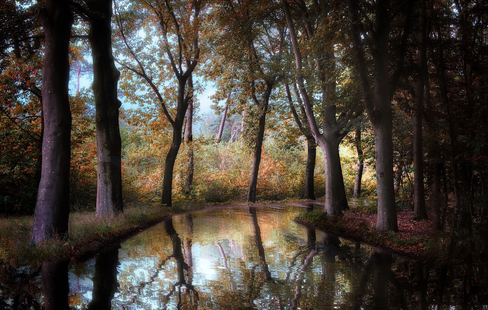 Handy-Wallpaper Herbst, Wald, Fluss, Erde/natur kostenlos herunterladen.