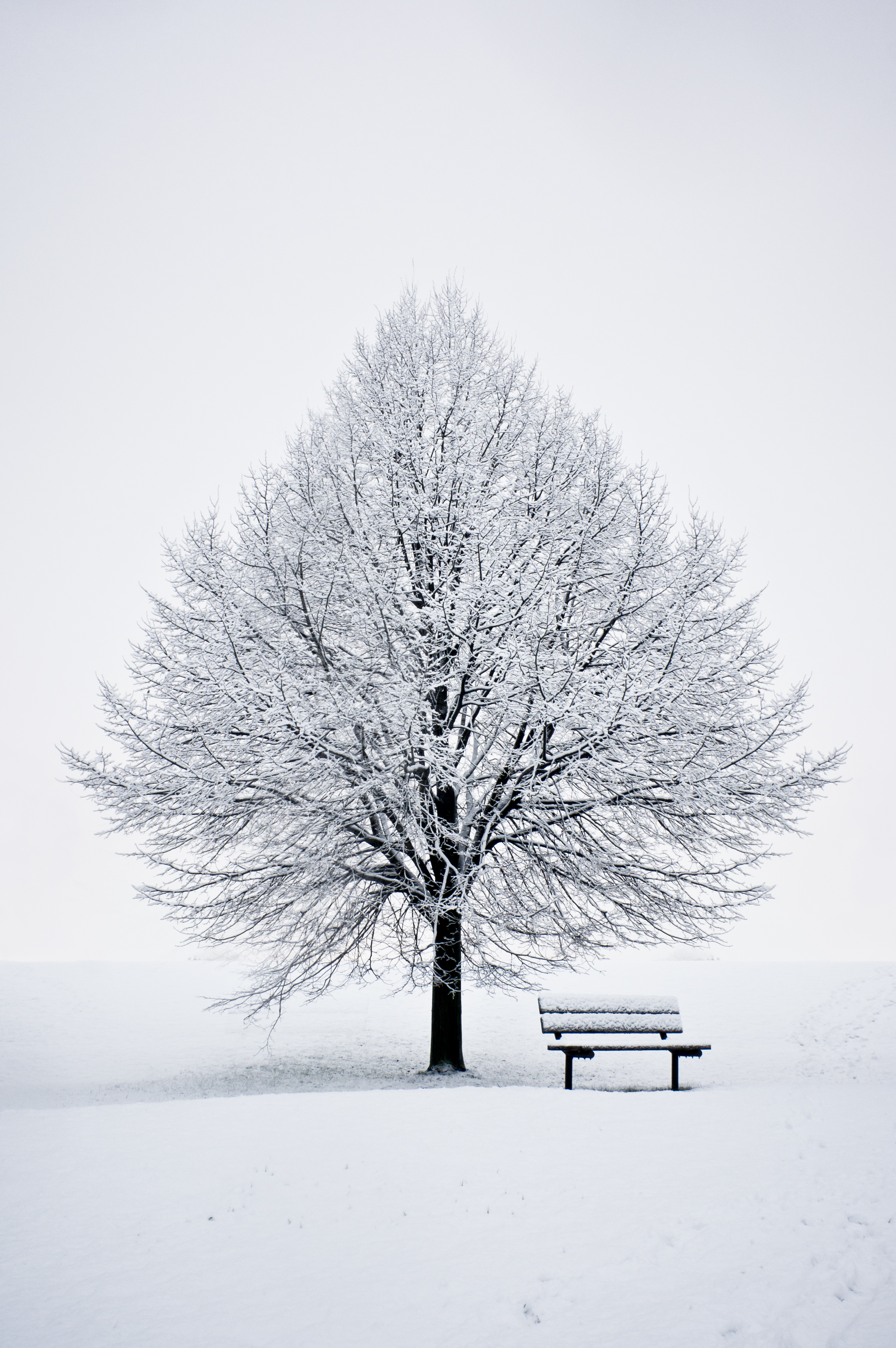 Скачать обои бесплатно Скамейка, Снег, Зима, Дерево, Минимализм картинка на рабочий стол ПК