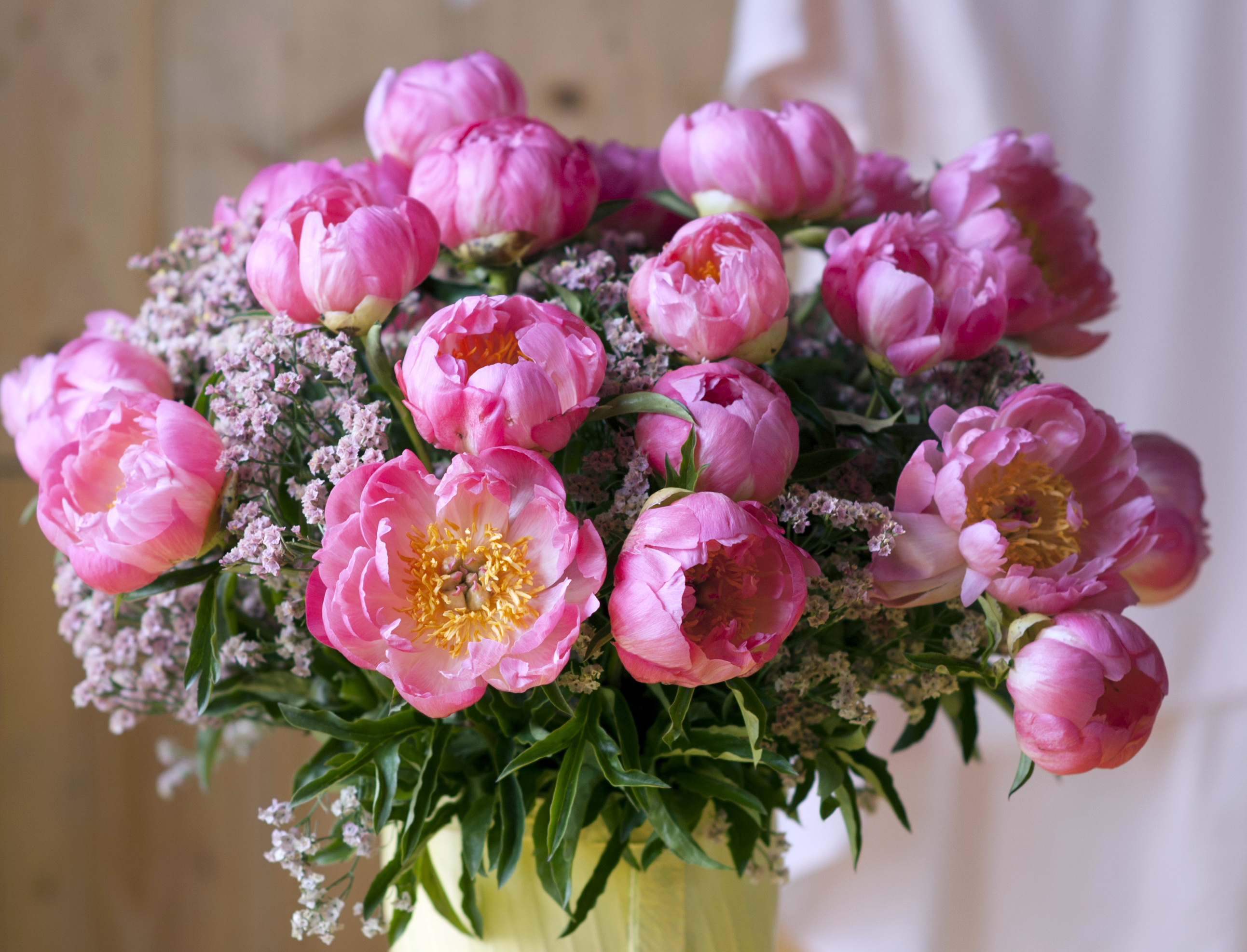 Handy-Wallpaper Blume, Vase, Pfingstrose, Menschengemacht, Pinke Blume kostenlos herunterladen.