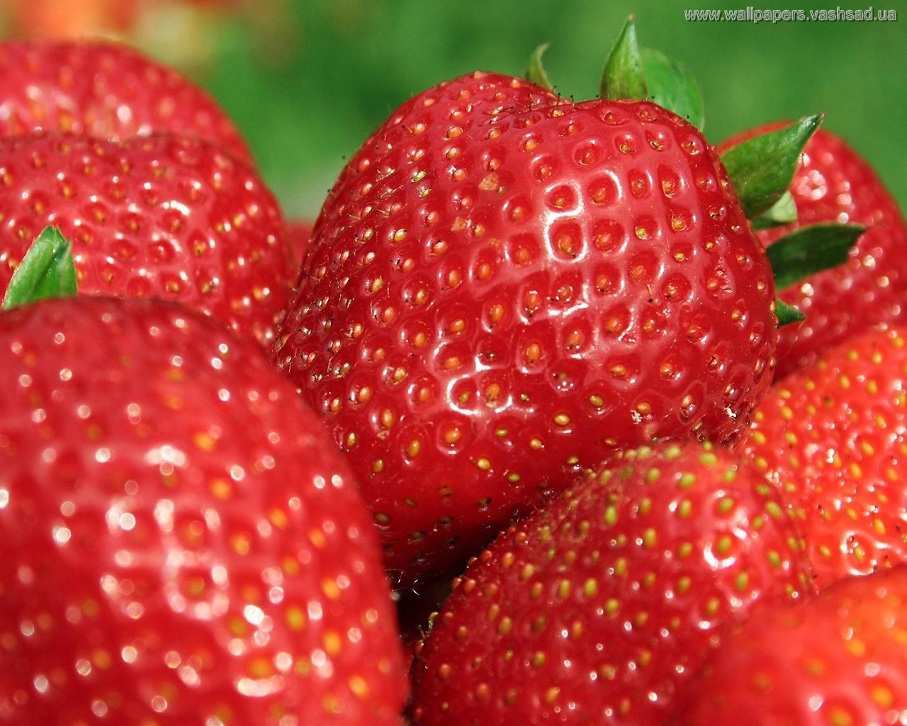 Handy-Wallpaper Lebensmittel, Berries, Erdbeere kostenlos herunterladen.