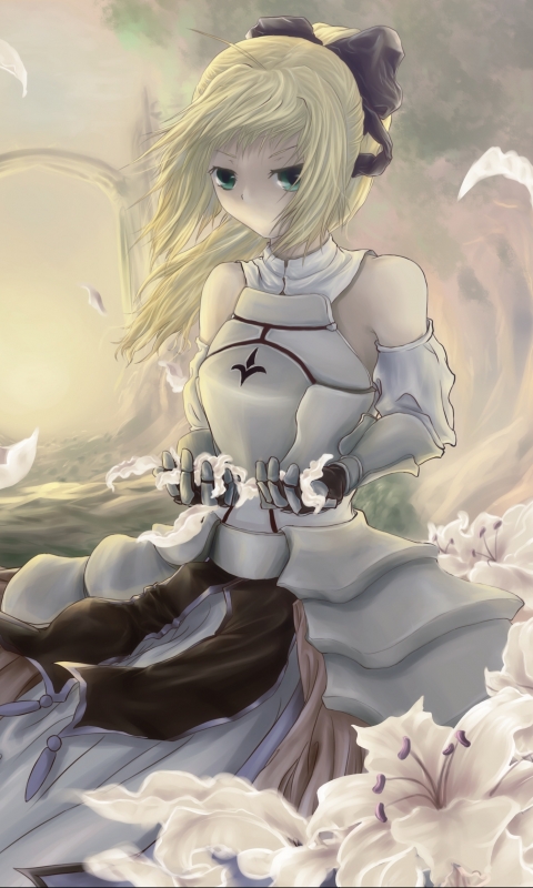 Download mobile wallpaper Anime, Fate/stay Night, Saber Lily, Fate Series for free.