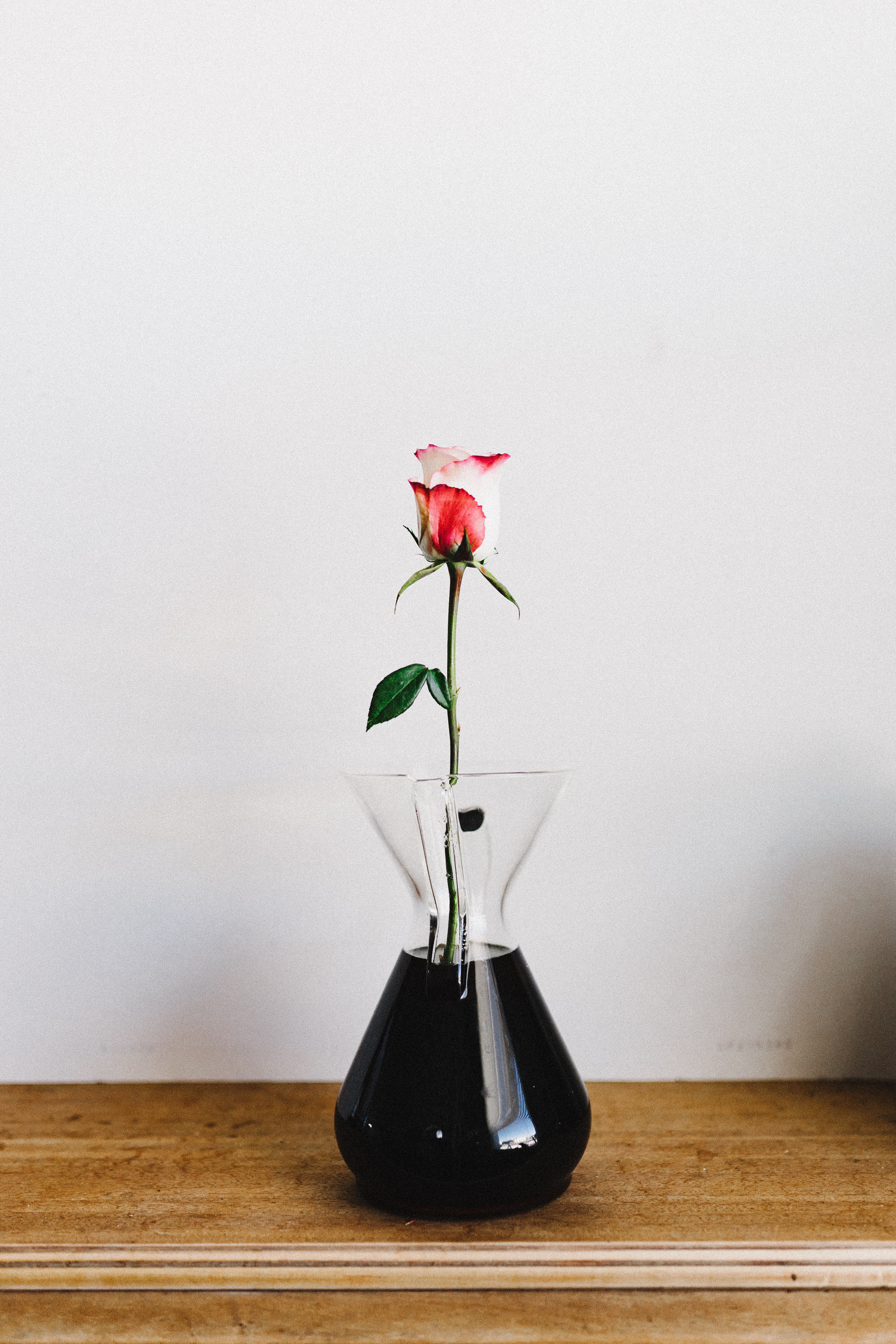 Download mobile wallpaper Flowers, Vase, Rose Flower, Rose, Flower for free.