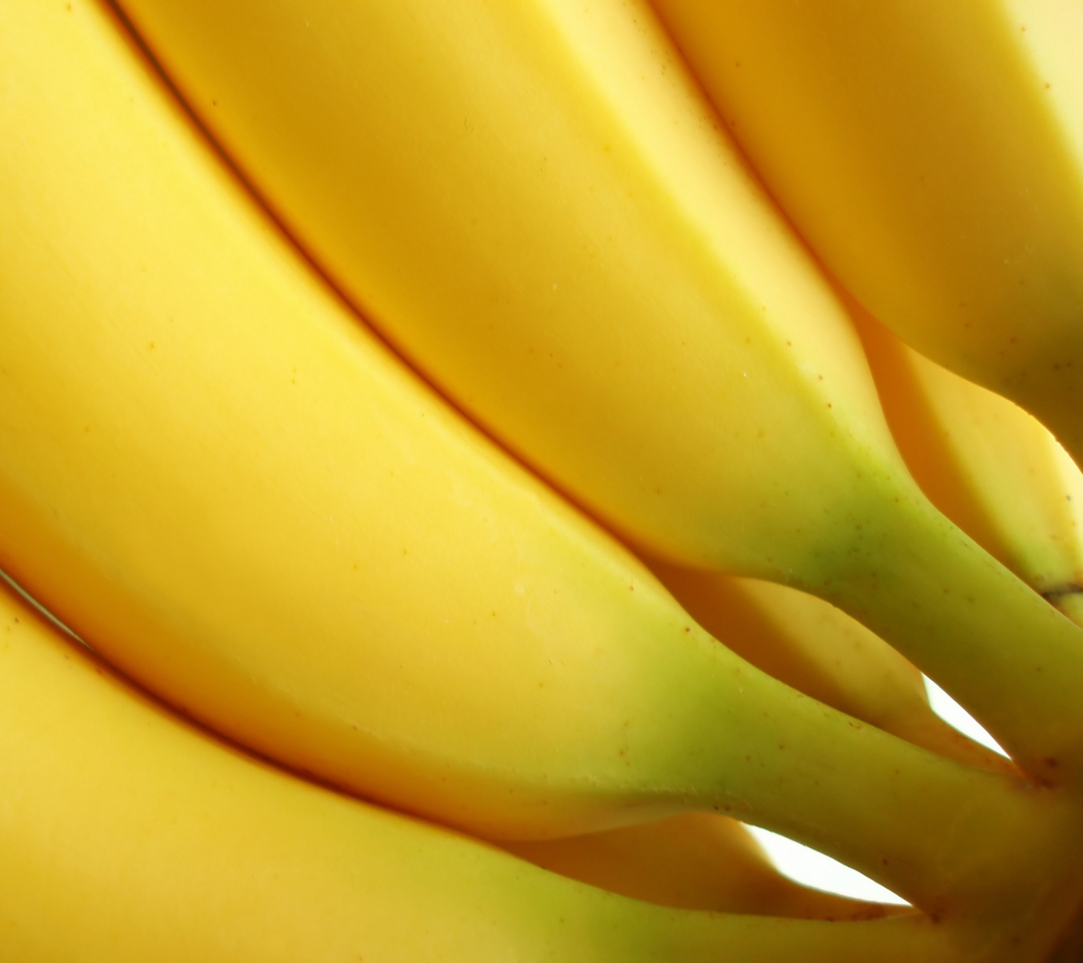 Baixar papel de parede para celular de Frutas, Comida, Banana gratuito.