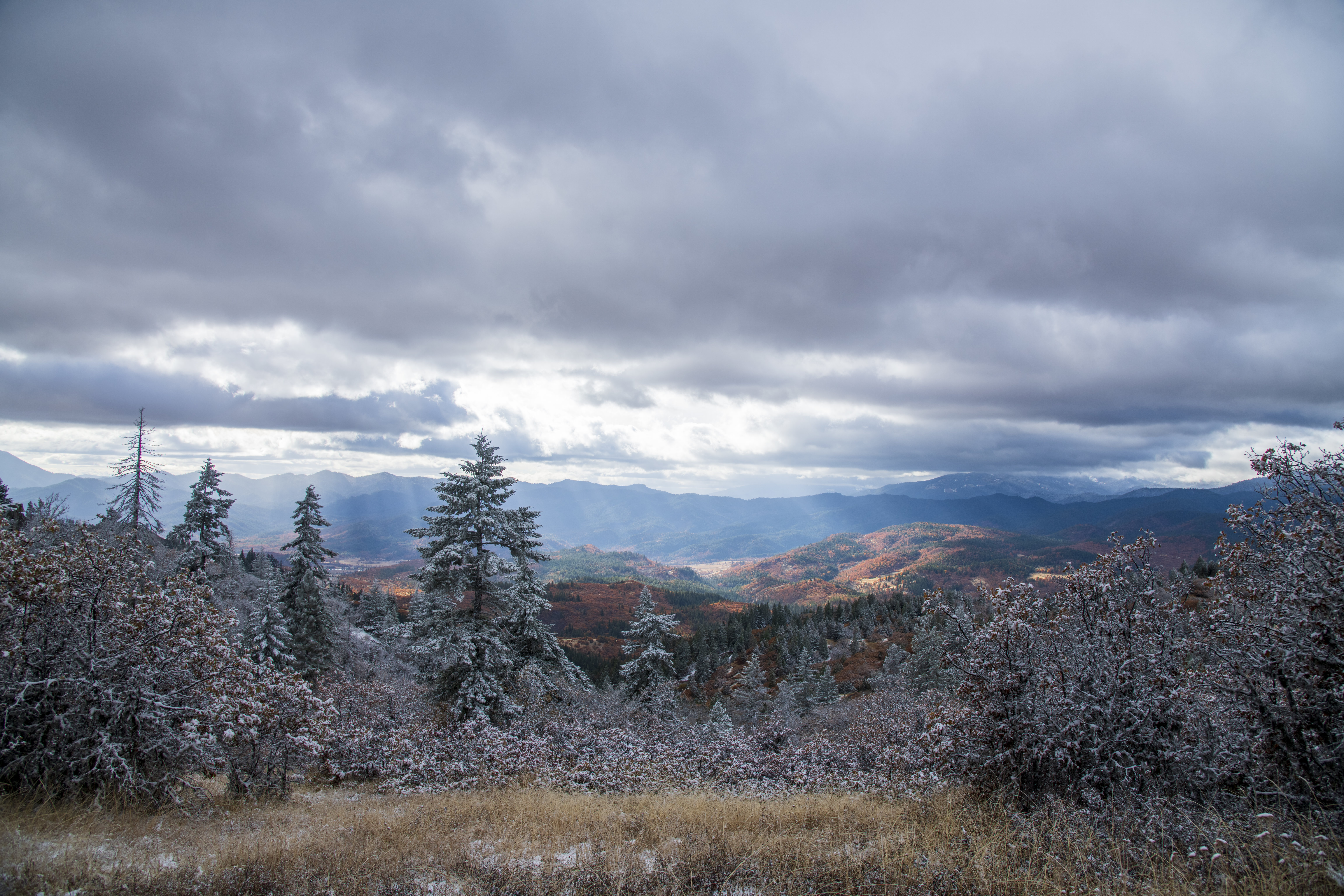 Baixe gratuitamente a imagem Natureza, Árvores, Montanhas, Neve, Bush na área de trabalho do seu PC