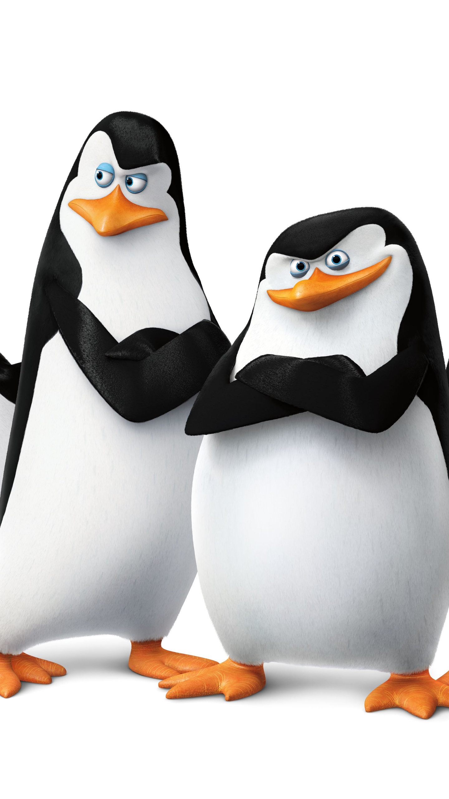 Descarga gratuita de fondo de pantalla para móvil de Películas, Los Pingüinos De Madagascar.