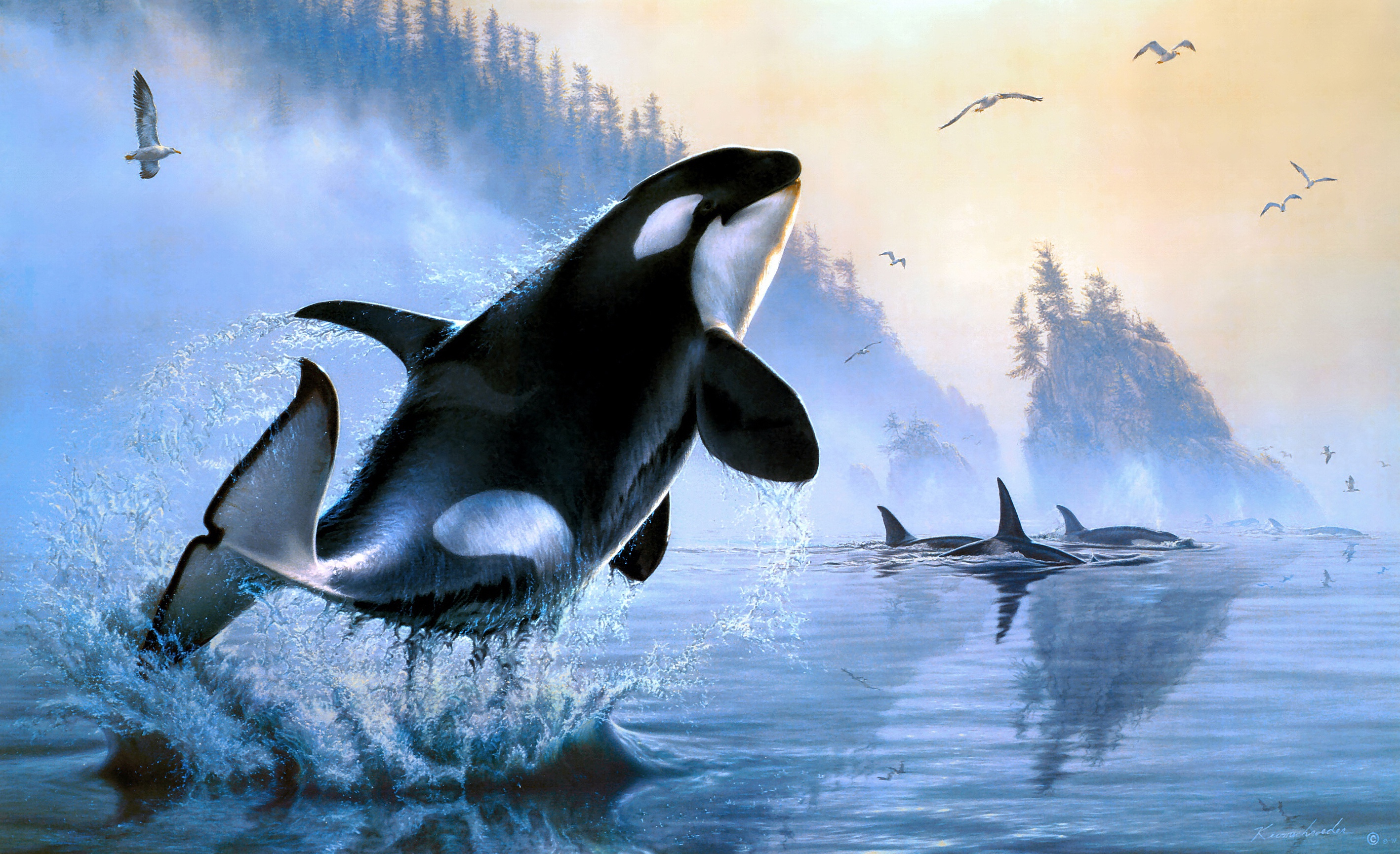 956443 descargar imagen orca, animales, pintura, vida marina: fondos de pantalla y protectores de pantalla gratis