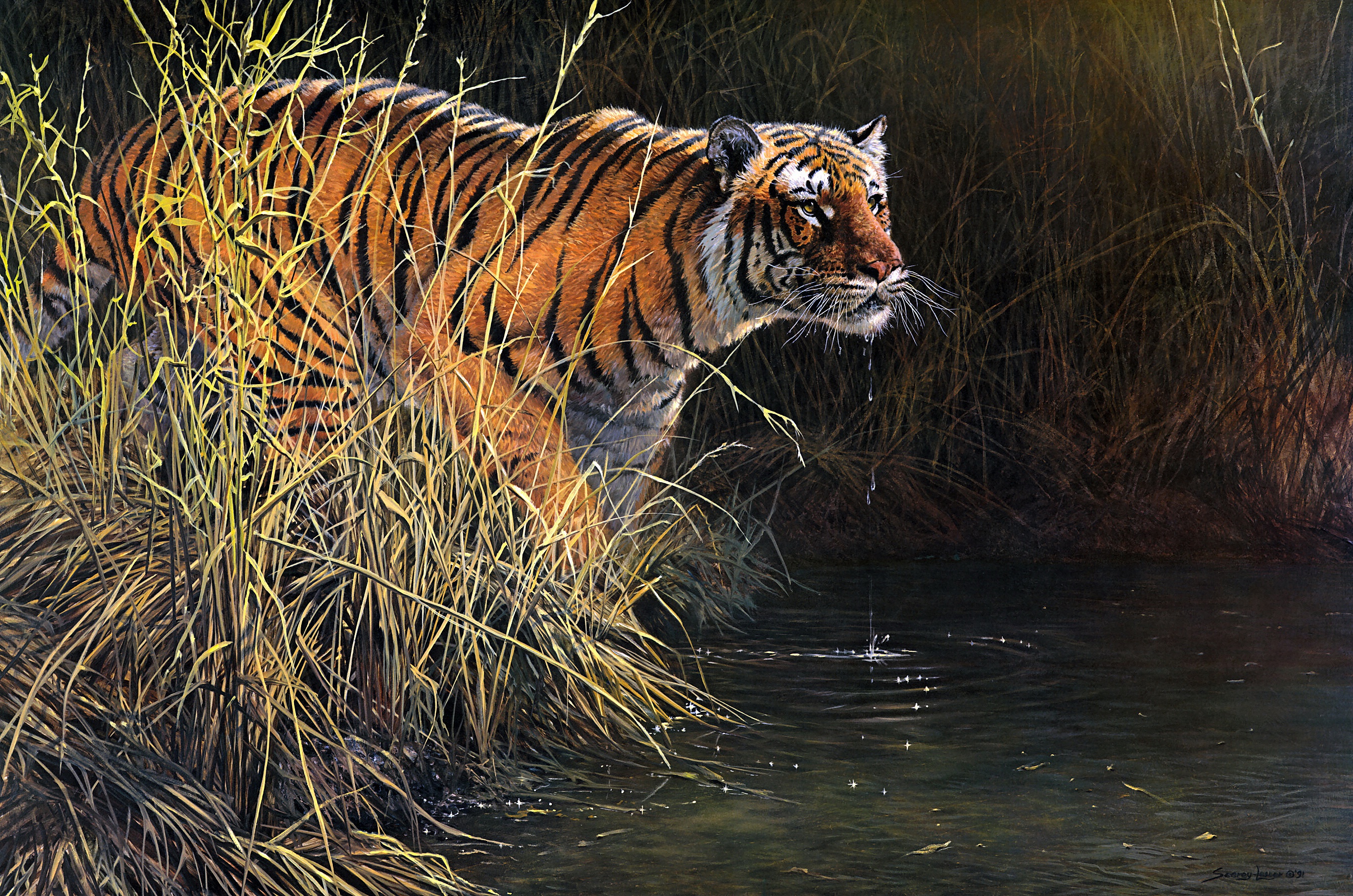 Free download wallpaper Cats, Tiger, Animal, Painting on your PC desktop