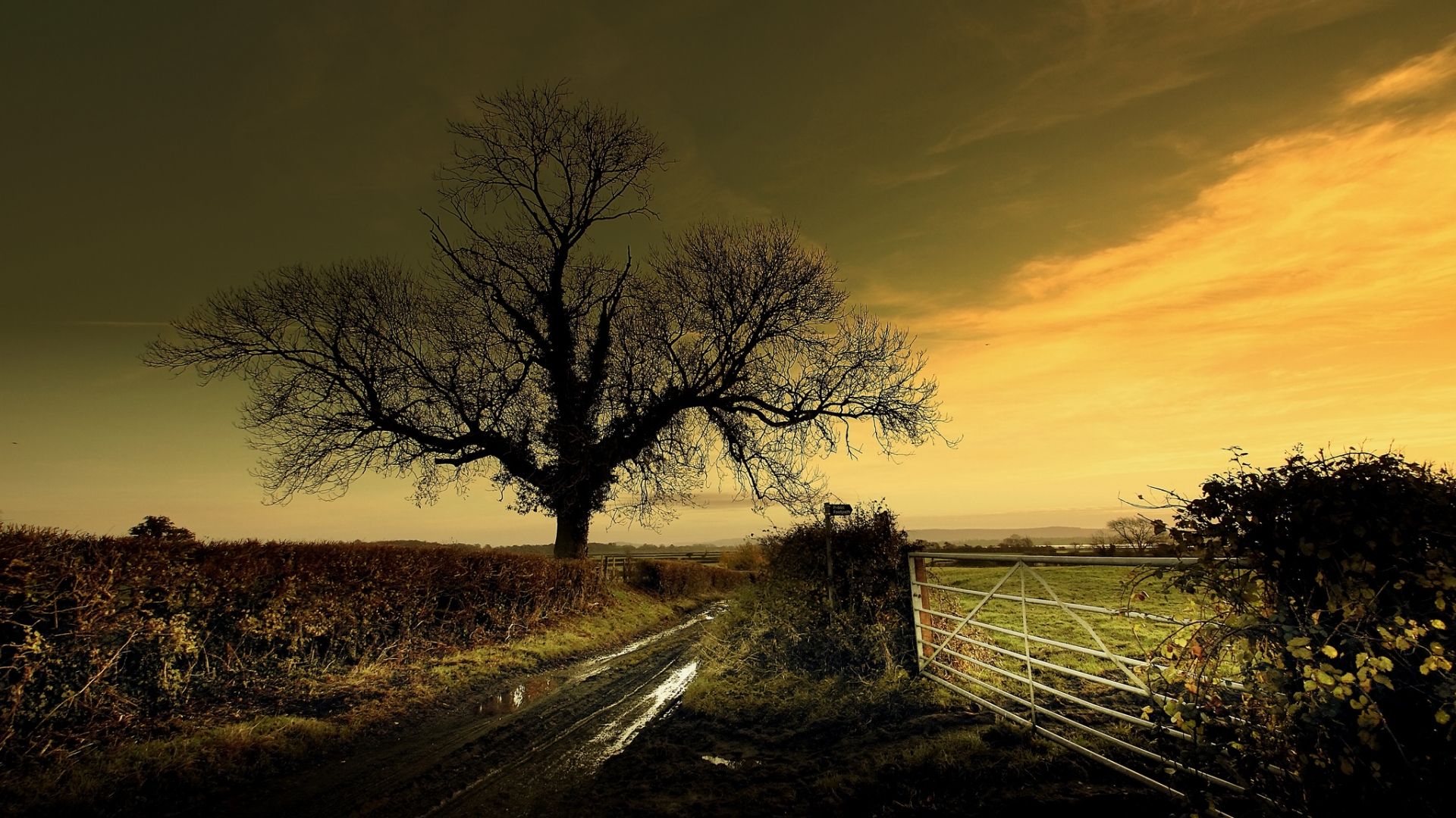 Free download wallpaper Landscape, Tree, Photography on your PC desktop