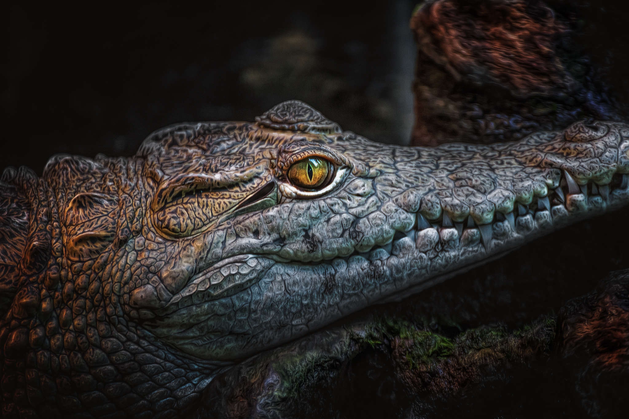 Free download wallpaper Fangs, Animal, Reptile, Reptiles, Teeth, Eye, Crocodile on your PC desktop
