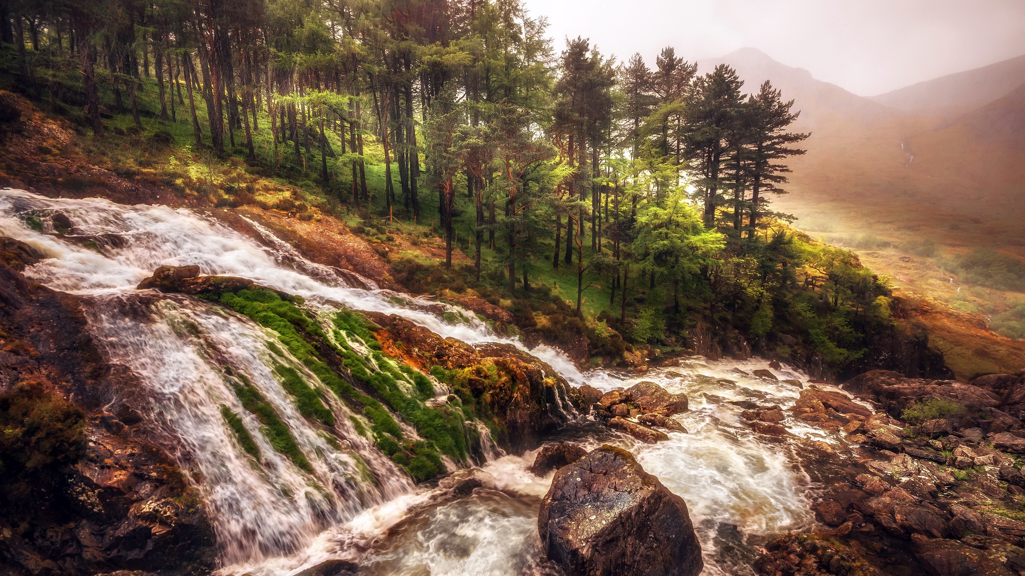 Free download wallpaper Nature, Waterfalls, Waterfall, Tree, Earth on your PC desktop