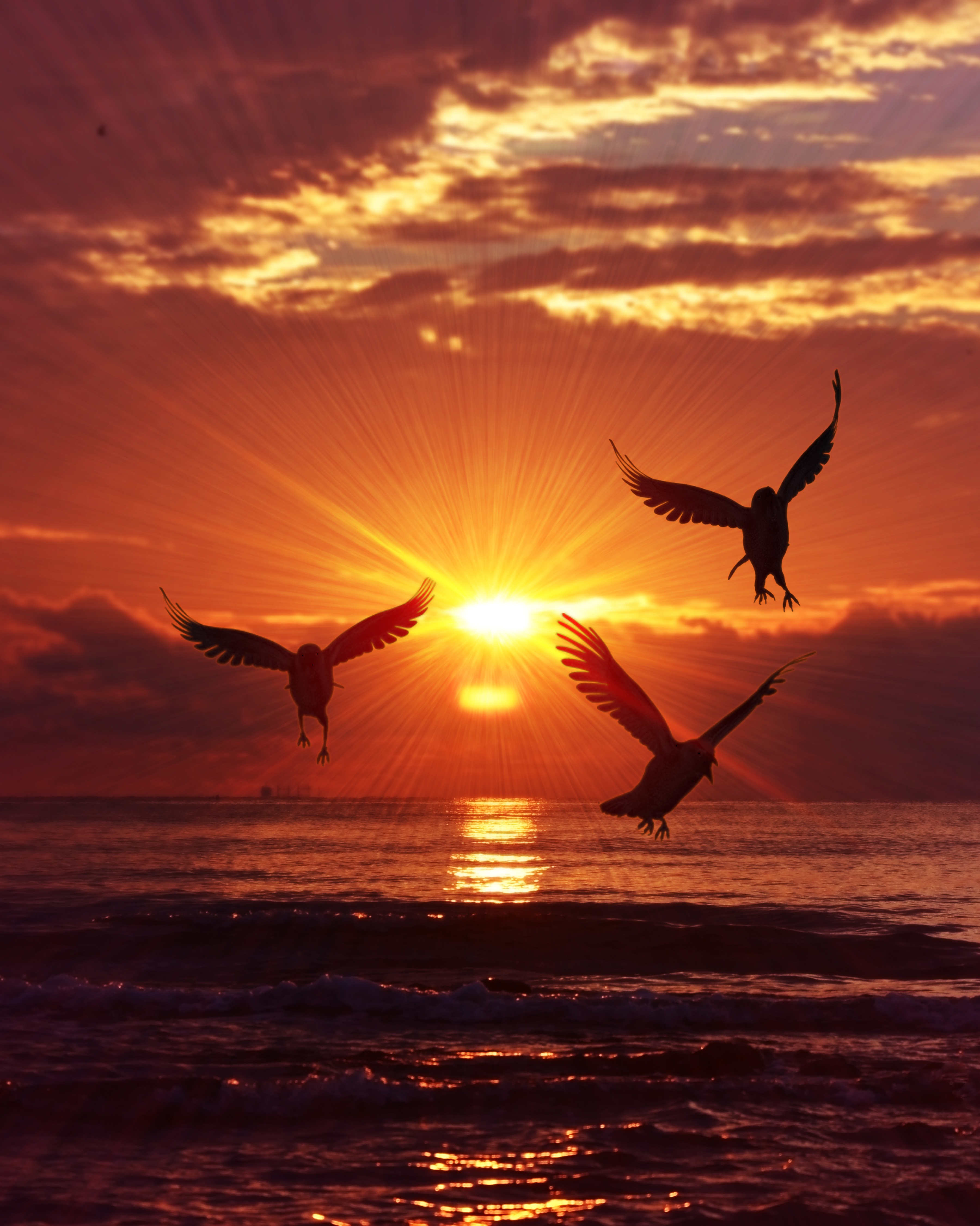 sunrise, nature, birds, sea, silhouettes, rise