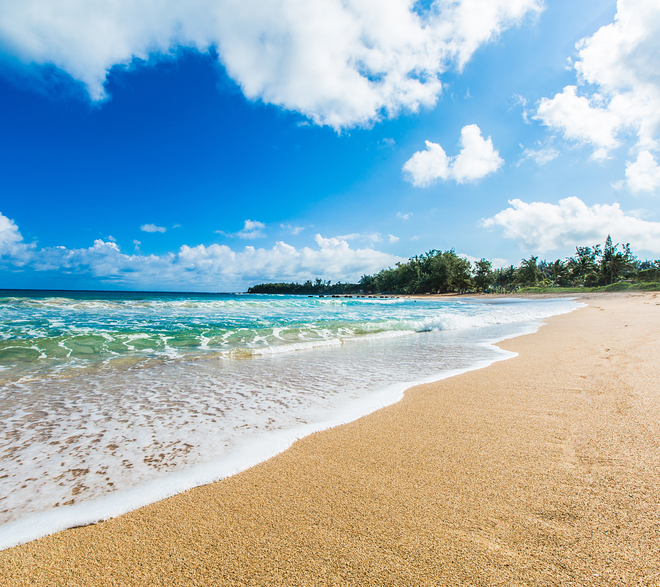 Baixe gratuitamente a imagem Mar, Praia, Horizonte, Oceano, Palmeira, Tropical, Havaí, Kauai, Terra/natureza na área de trabalho do seu PC