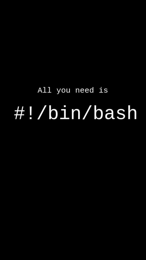 Download mobile wallpaper Technology, Linux, Bash for free.