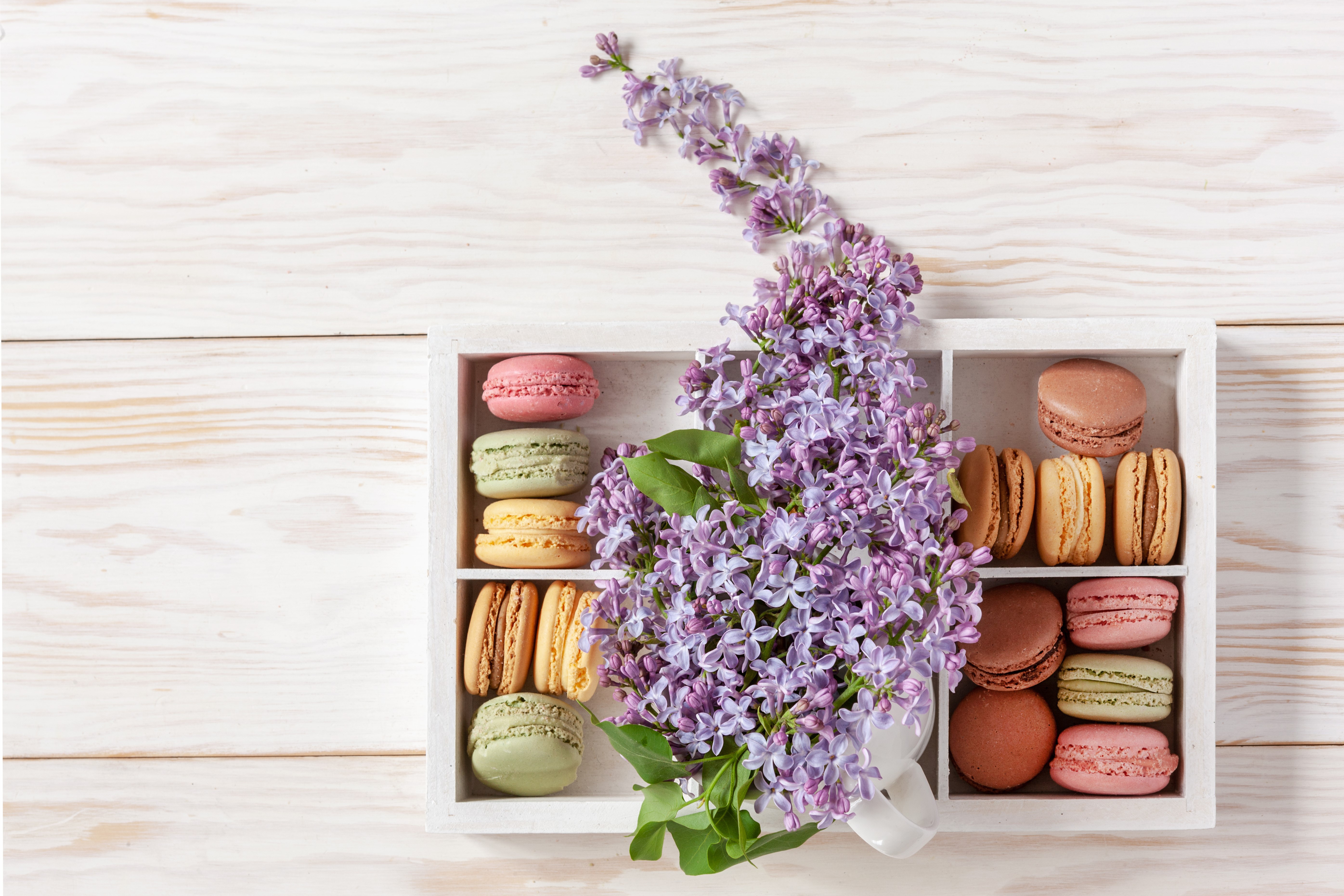 Download mobile wallpaper Food, Lilac, Still Life, Flower, Sweets, Macaron for free.