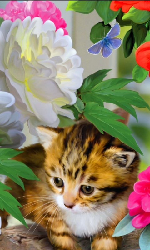 Download mobile wallpaper Cats, Cat, Animal for free.