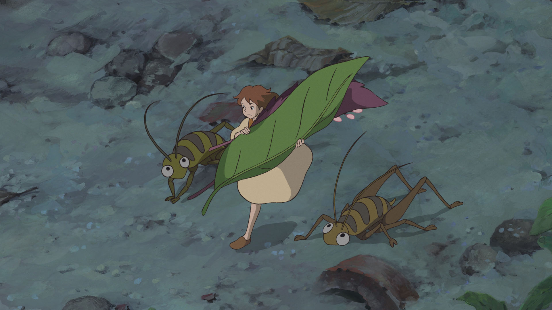 Laden Sie das Animes, Arrietty Die Wundersame Welt Der Borger-Bild kostenlos auf Ihren PC-Desktop herunter
