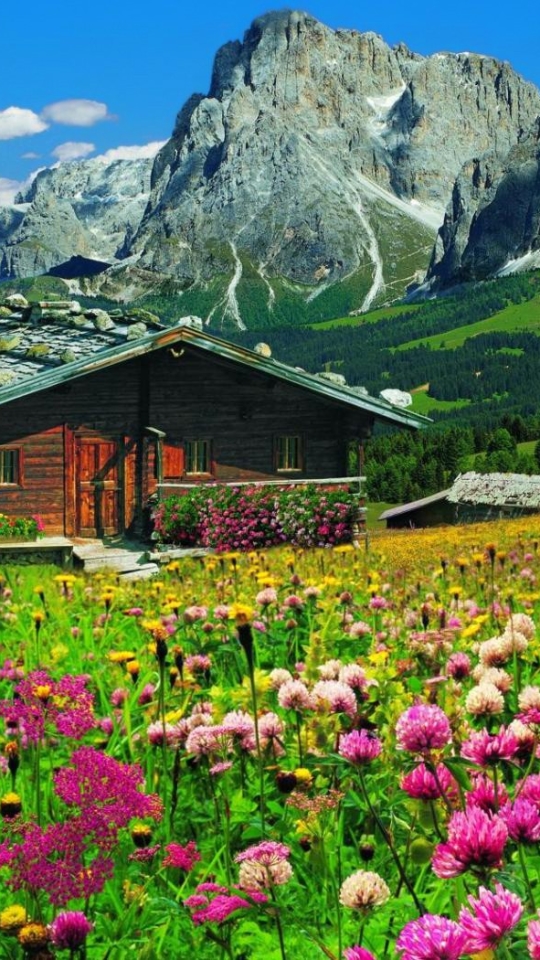 Handy-Wallpaper Landschaft, Berg, Blume, Haus, Feld, Gebirge, Fotografie, Gras, Wildblume, Aufstellen kostenlos herunterladen.