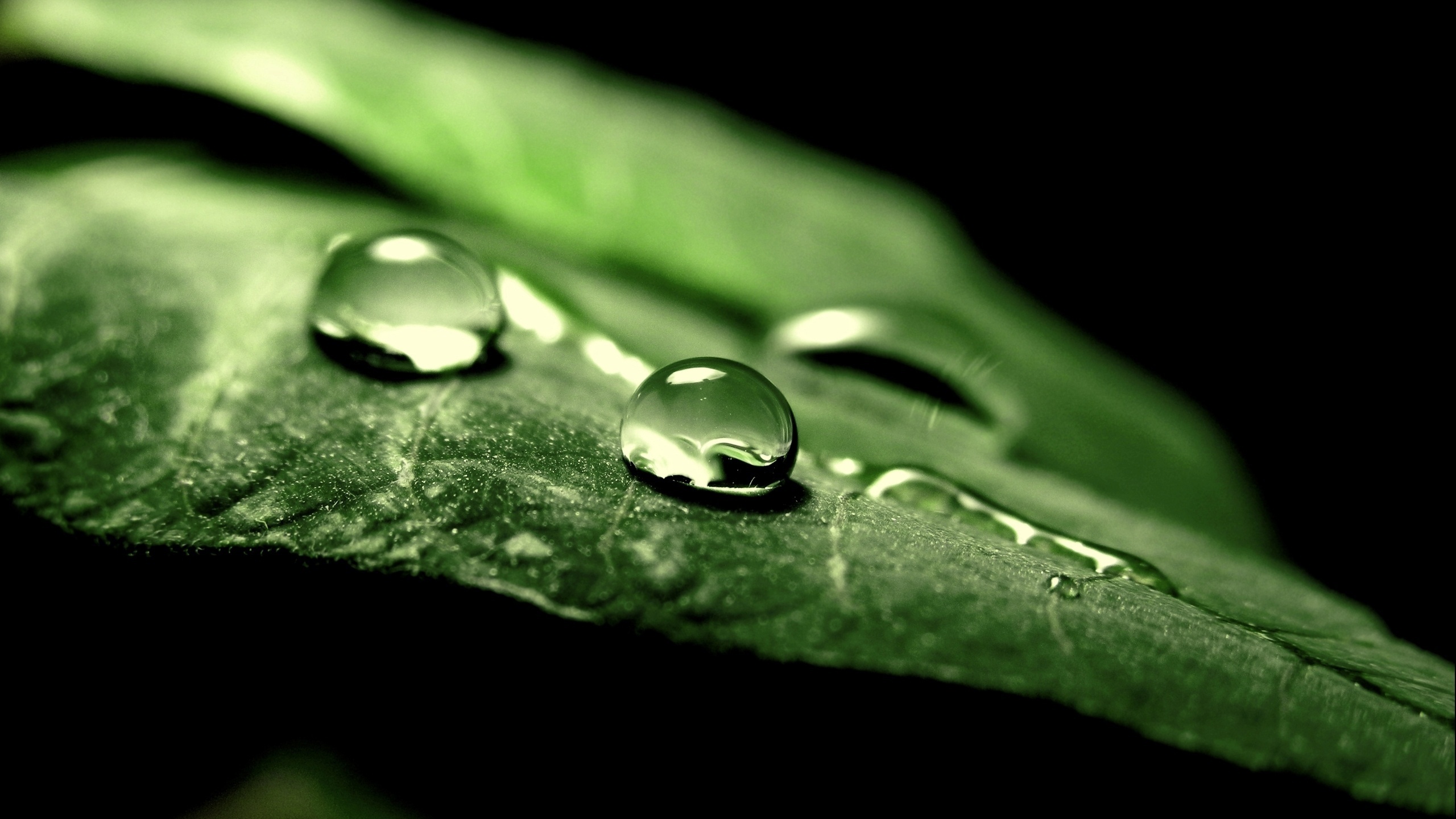 Free download wallpaper Earth, Water Drop on your PC desktop