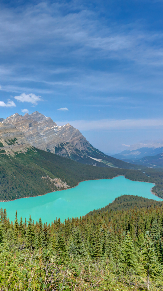Download mobile wallpaper Landscape, Nature, Lakes, Mountain, Lake, Canada, Forest, Earth, Alberta, Banff National Park, Peyto Lake for free.