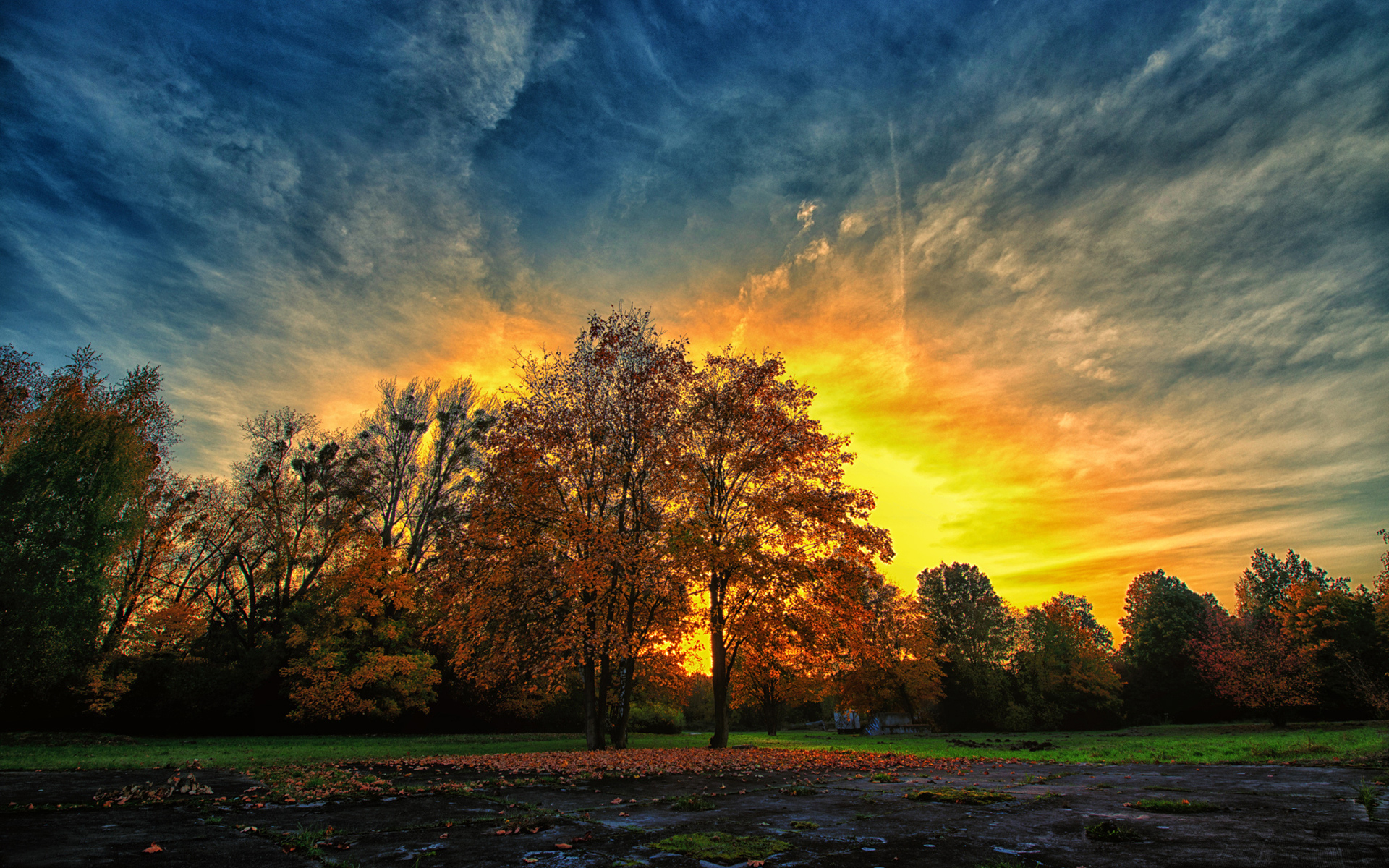 Скачать картинку Природа, Небо, Осень, Дерево, Земля/природа, Закат Солнца в телефон бесплатно.