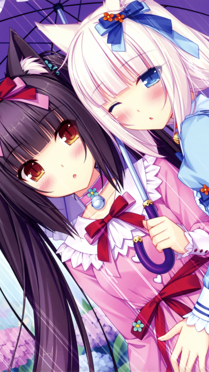 Download mobile wallpaper Anime, Nekopara for free.