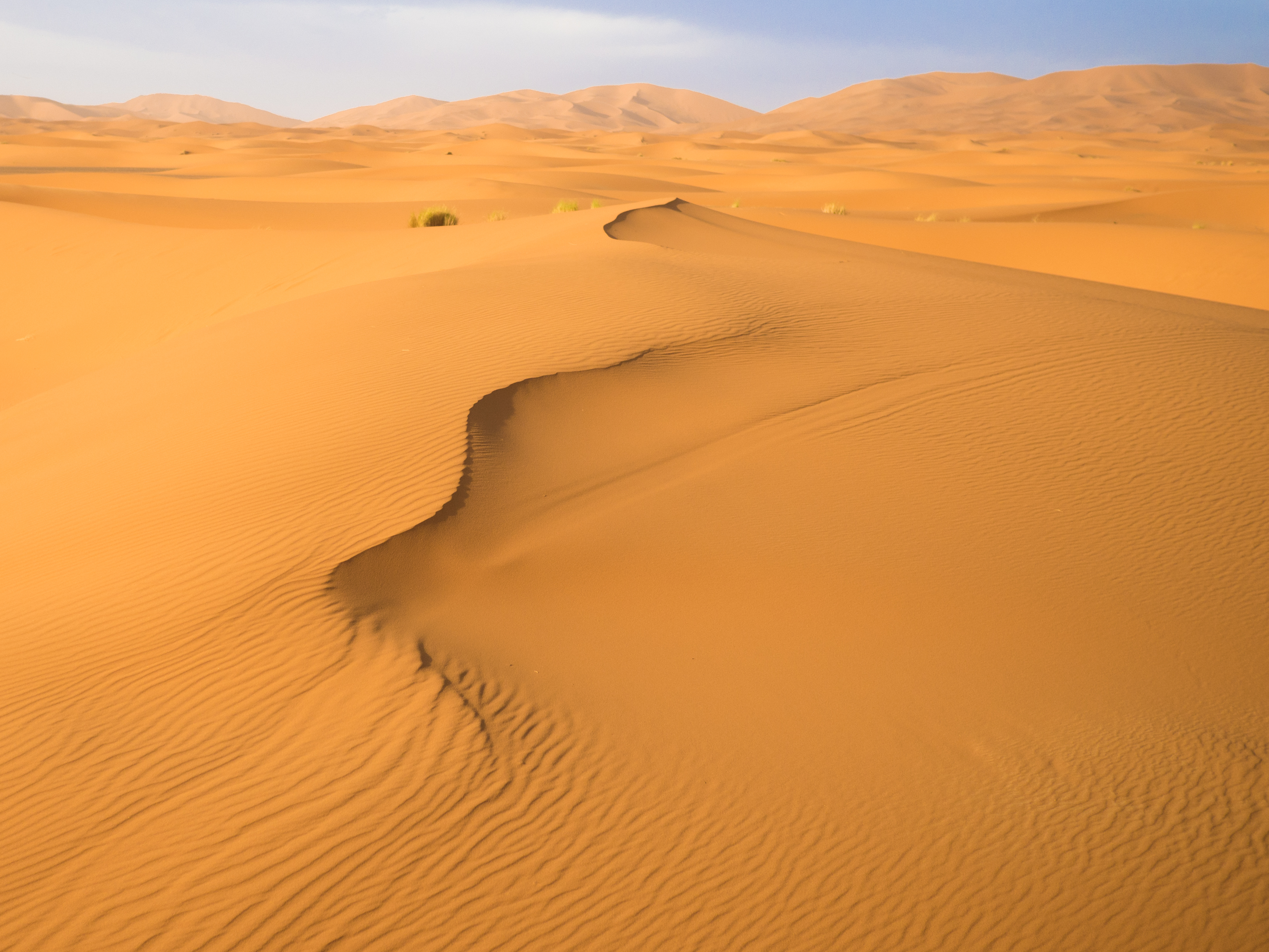 nature, sand, desert, hills, traces, dunes