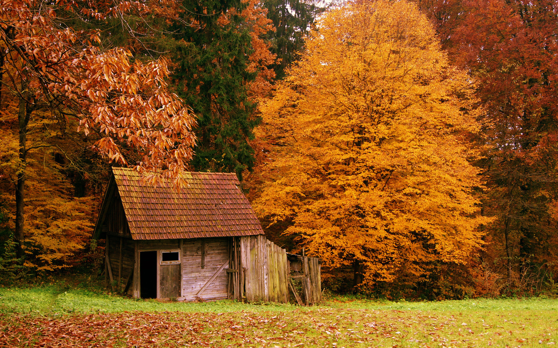 PCデスクトップに風景, 秋, オレンジ, 家画像を無料でダウンロード