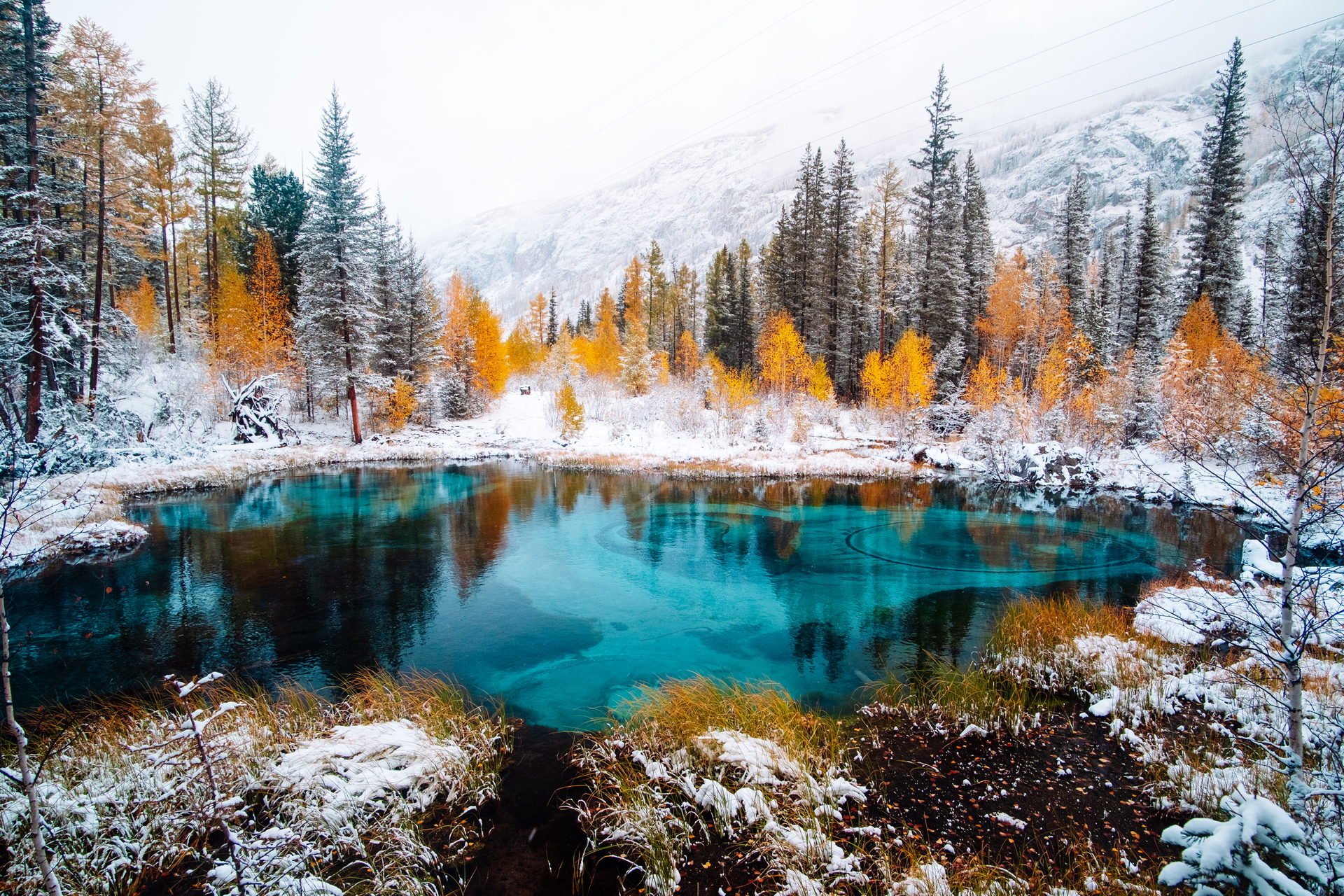 Descarga gratuita de fondo de pantalla para móvil de Invierno, Lagos, Lago, Bosque, Tierra/naturaleza.