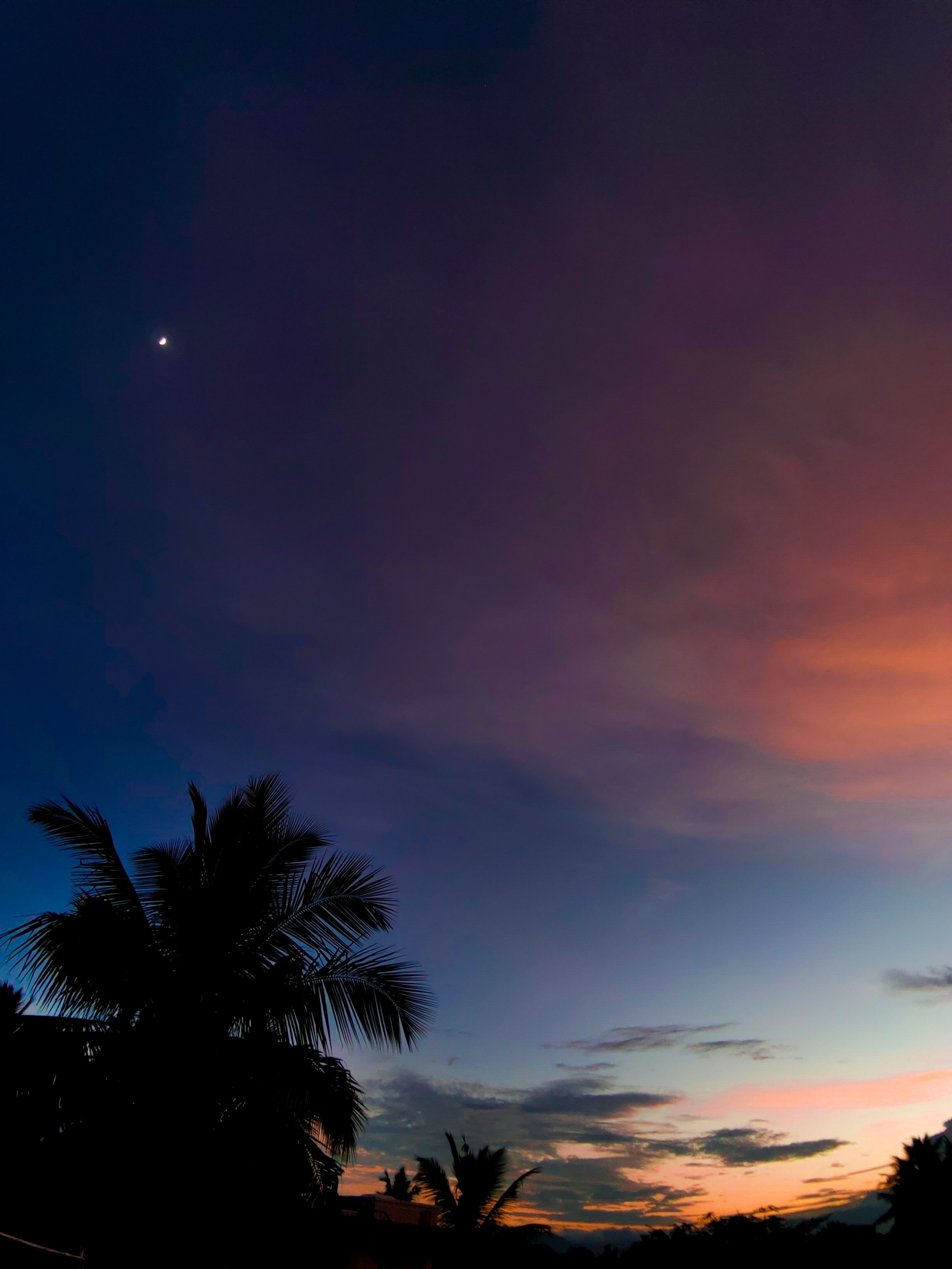 119365 скачать обои облака, закат, природа, ночь, пальма, тропики - заставки и картинки бесплатно