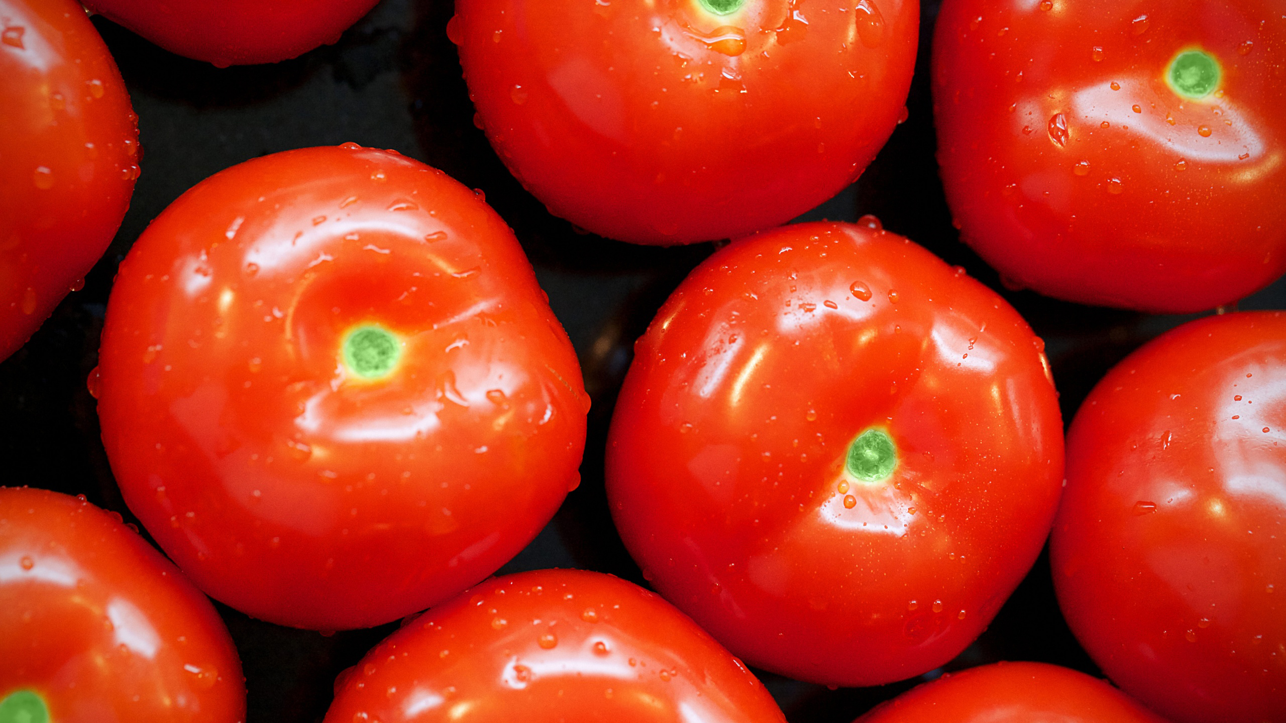 Handy-Wallpaper Tomate, Früchte, Nahrungsmittel kostenlos herunterladen.