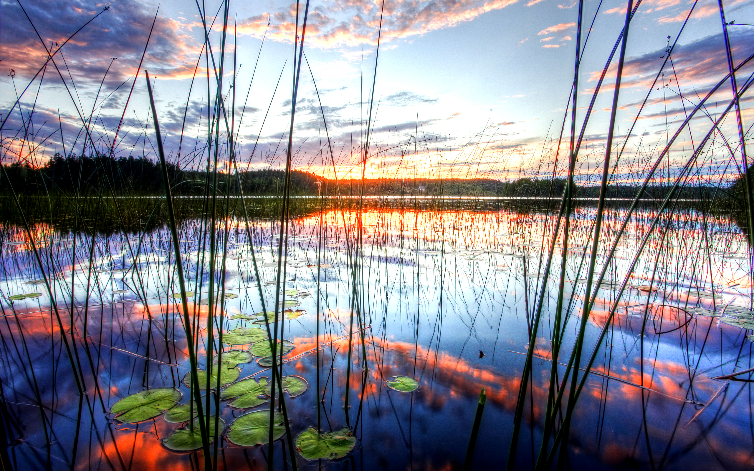 Descarga gratuita de fondo de pantalla para móvil de Lago, Tierra/naturaleza.