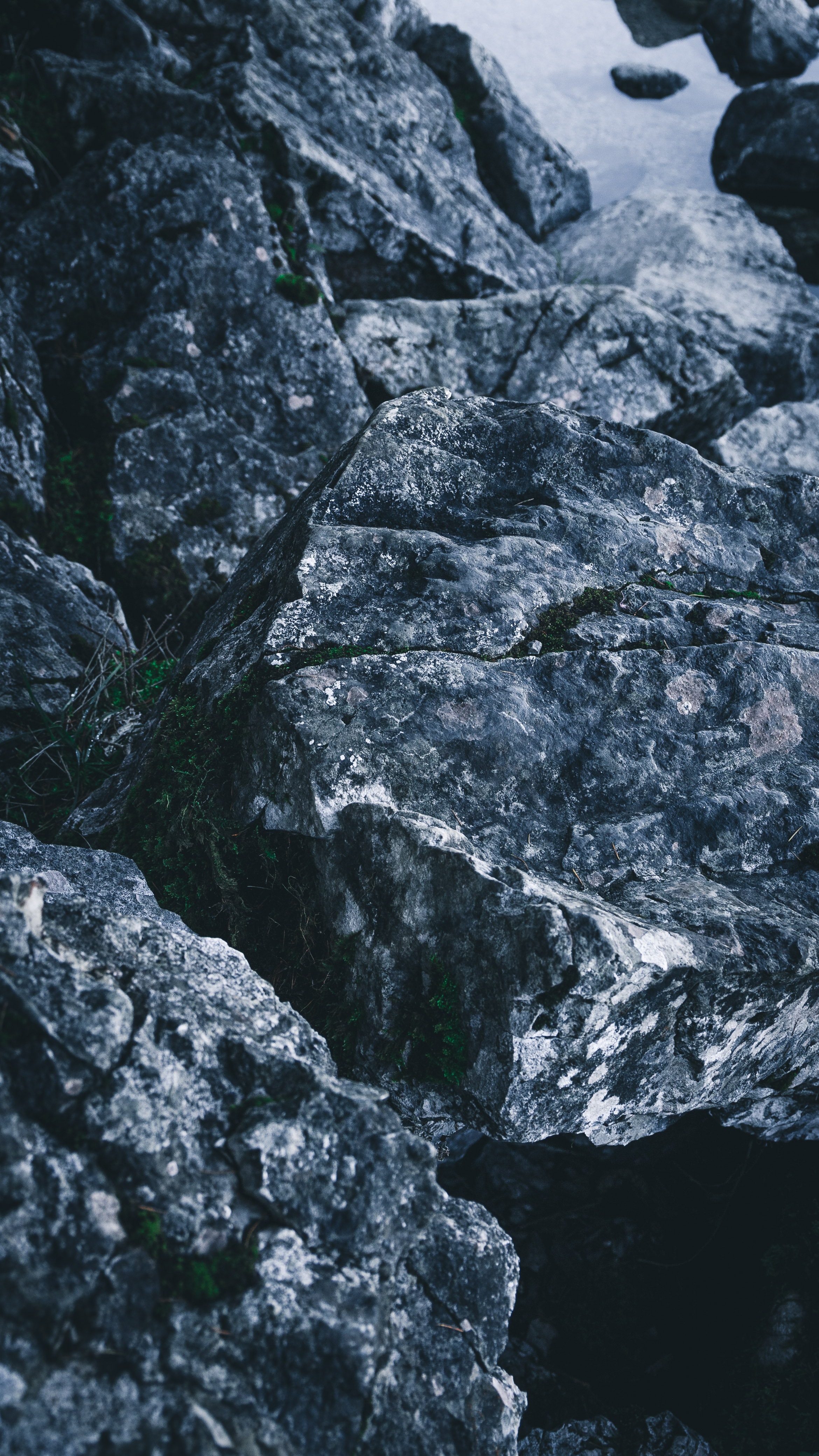 grass, stones, rocks, texture, textures HD for desktop 1080p