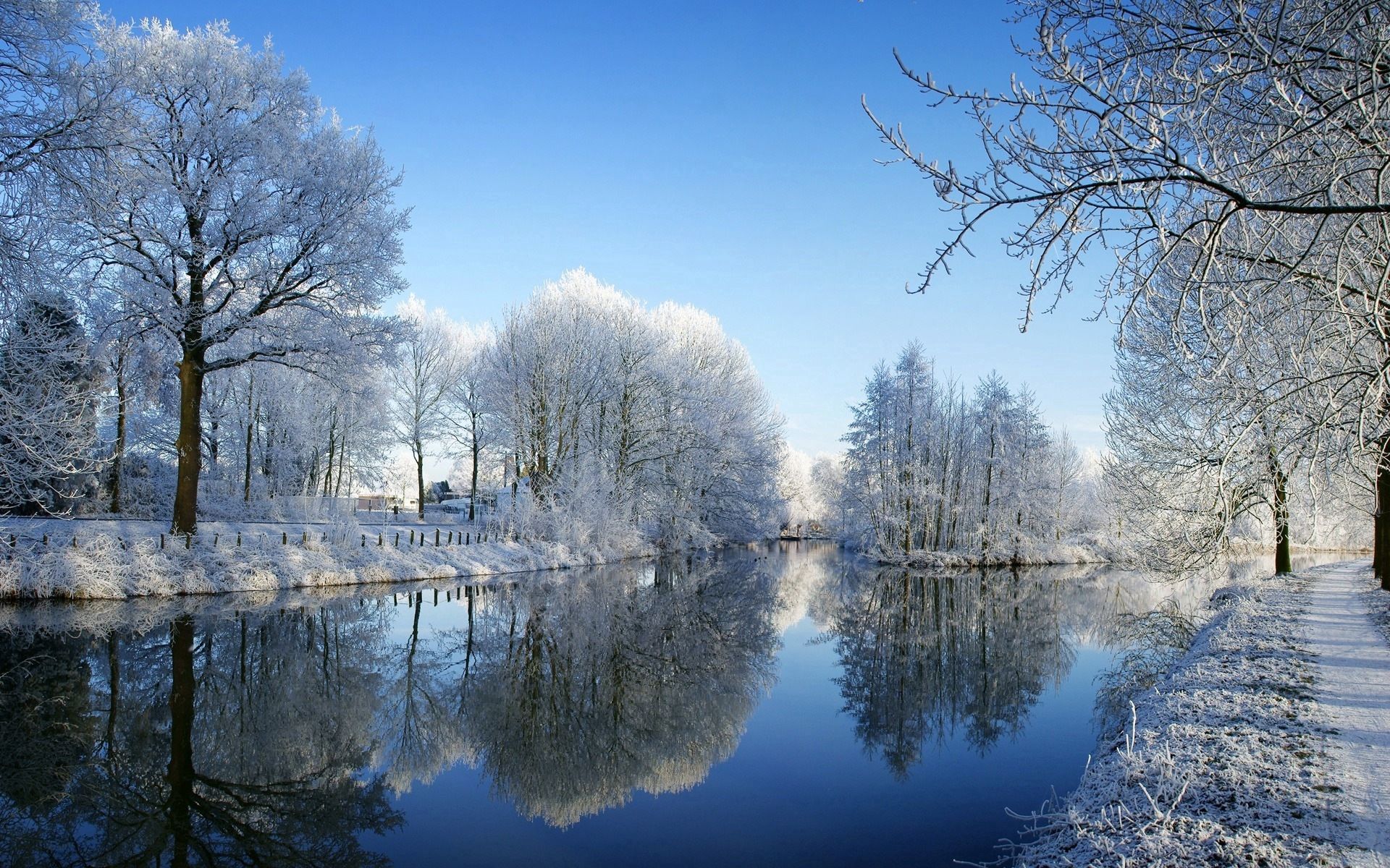 winter, nature, rivers, trees, reflection, park, frost, hoarfrost Image for desktop