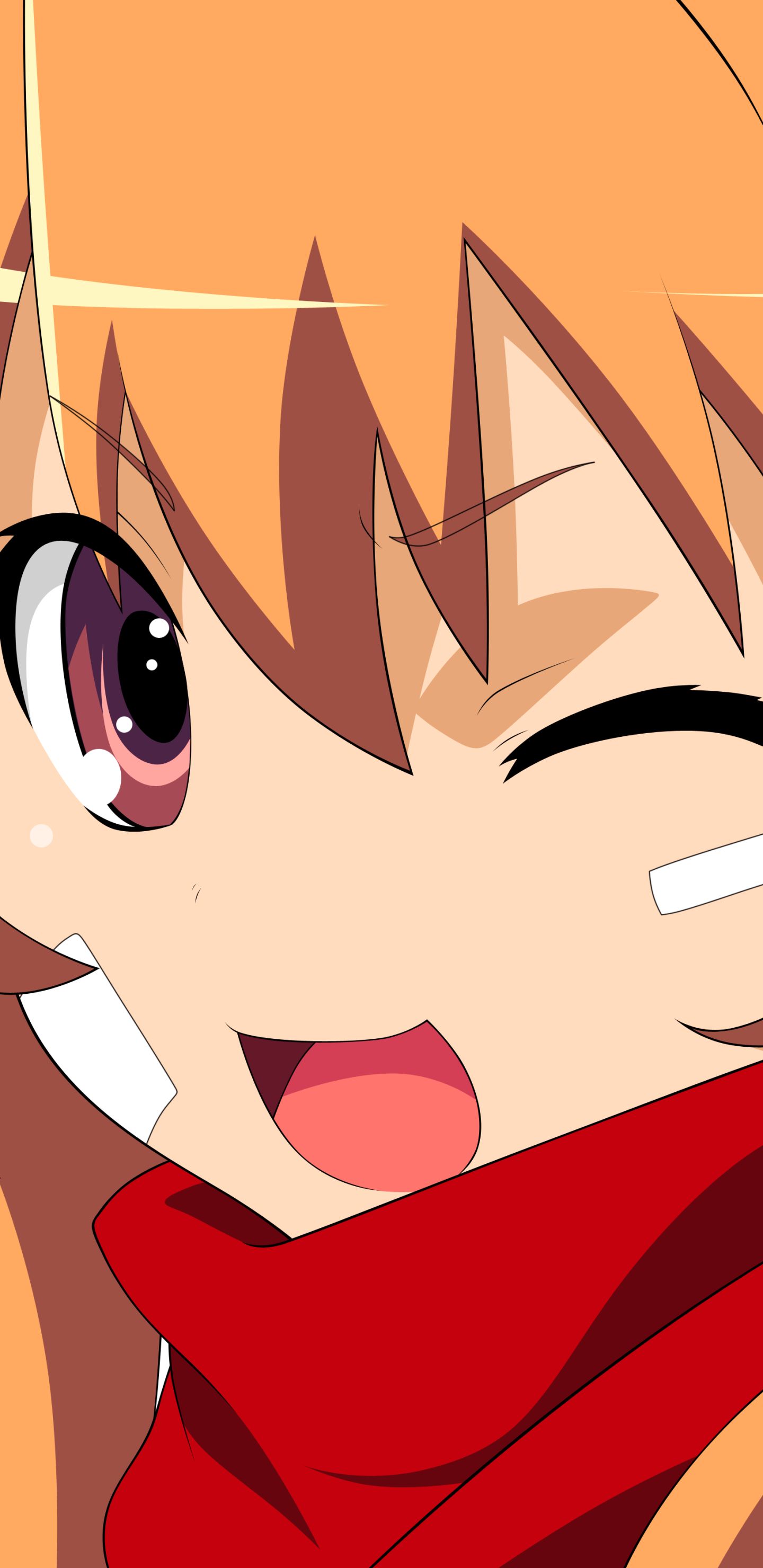 Handy-Wallpaper Animes, Toradora!, Taiga Aisaka kostenlos herunterladen.