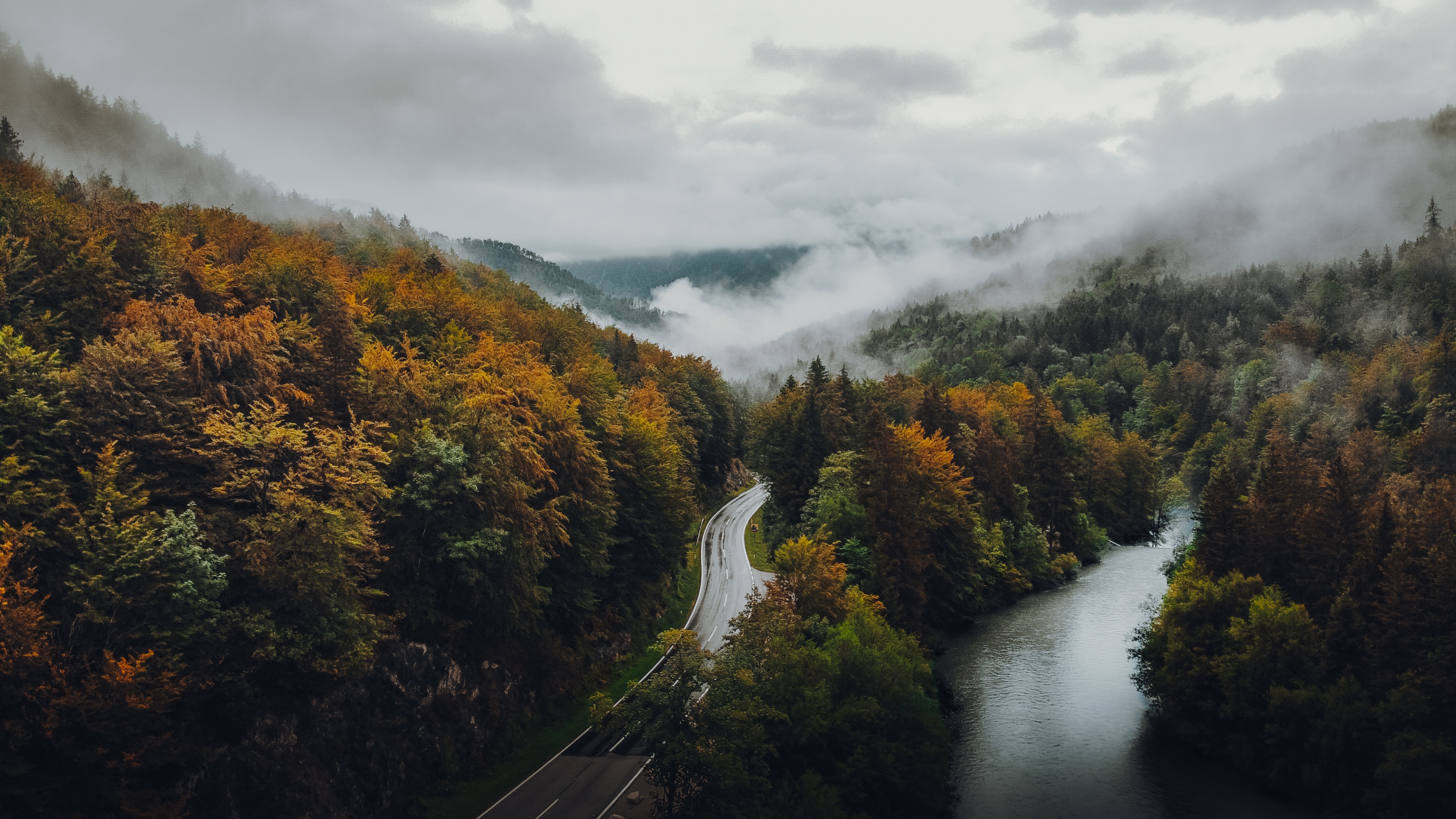 clouds, fog, forest, nature, autumn, road