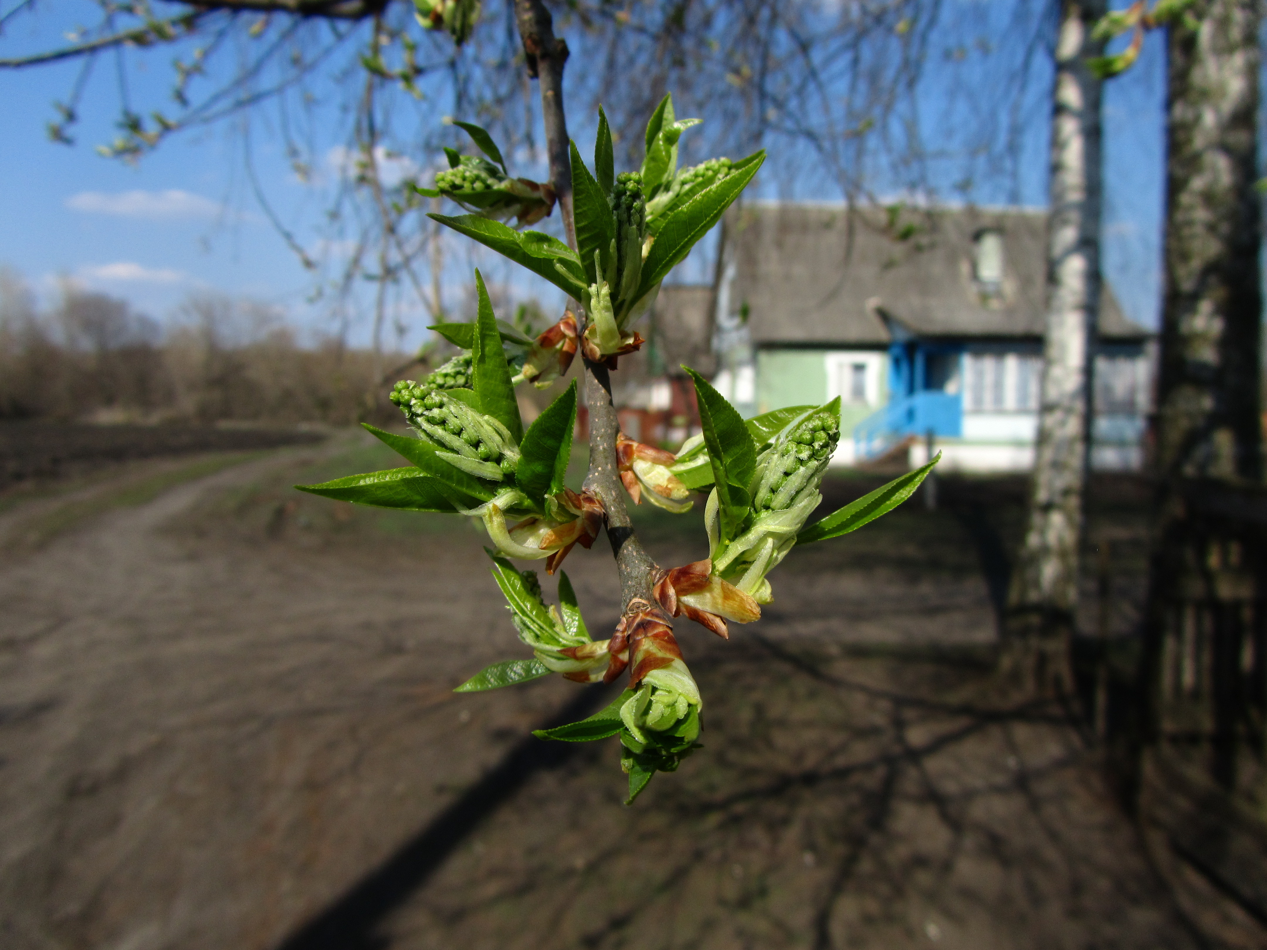 Скачати мобільні шпалери Земля, Відділення безкоштовно.