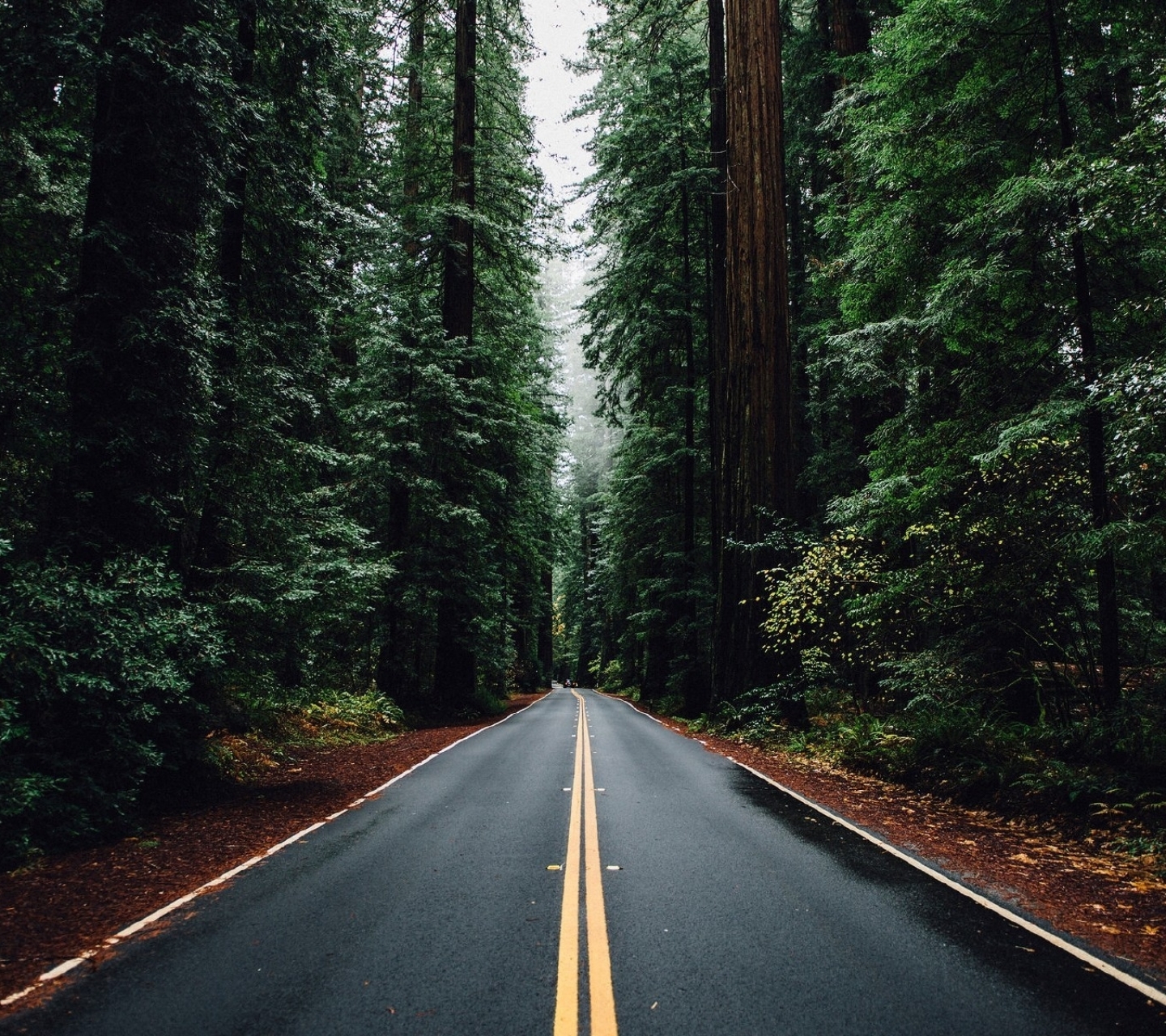 Download mobile wallpaper Road, Forest, Man Made for free.