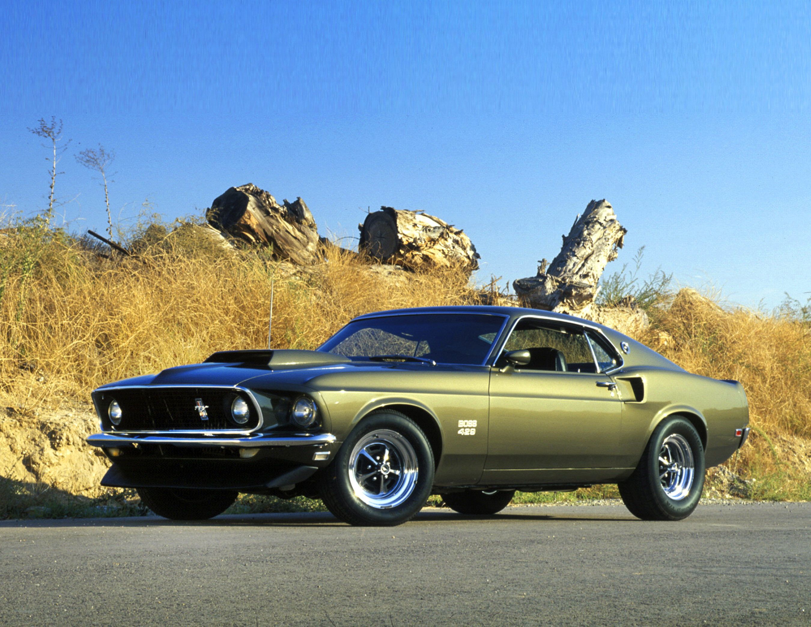 vehicles, ford mustang boss 429, ford