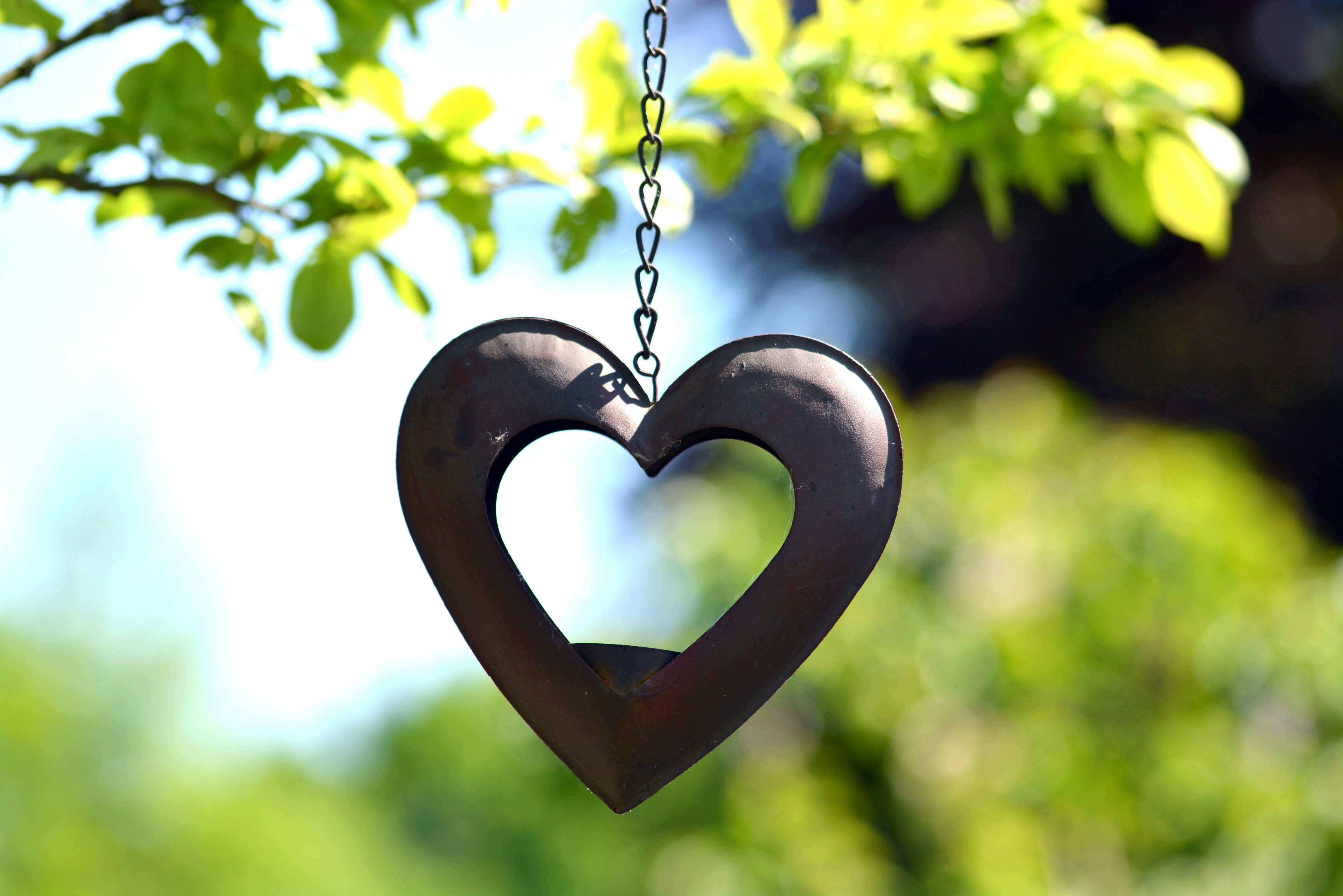 Free download wallpaper Blur, Smooth, Suspension, Heart, Chain, Love on your PC desktop