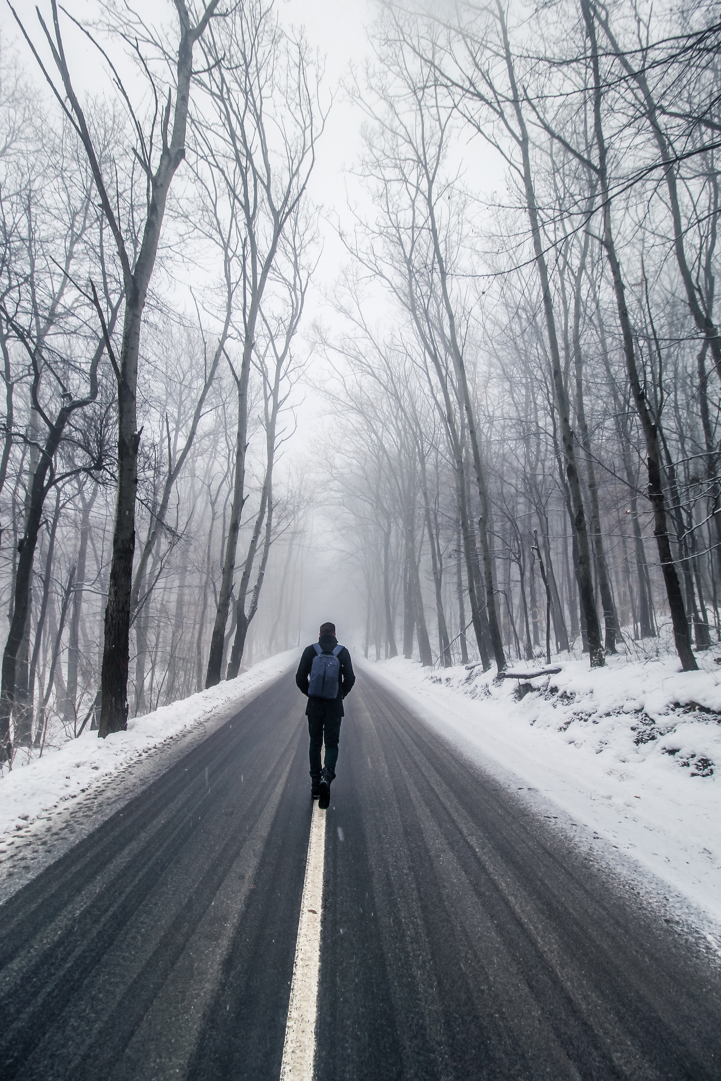 Laden Sie das Mensch, Person, Straße, Einsamkeit, Natur, Nebel, Schnee, Bäume-Bild kostenlos auf Ihren PC-Desktop herunter