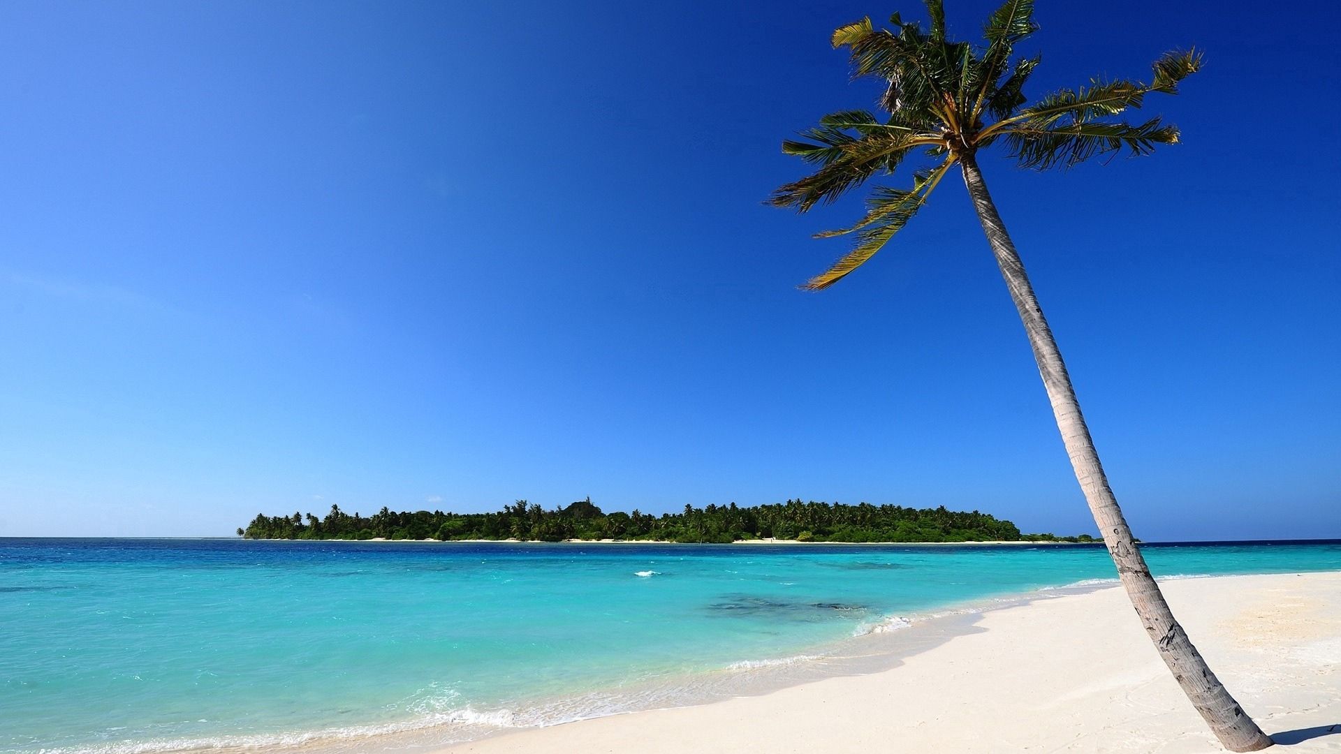 Laden Sie das Natur, Sand, Palm, Sea, Palme-Bild kostenlos auf Ihren PC-Desktop herunter