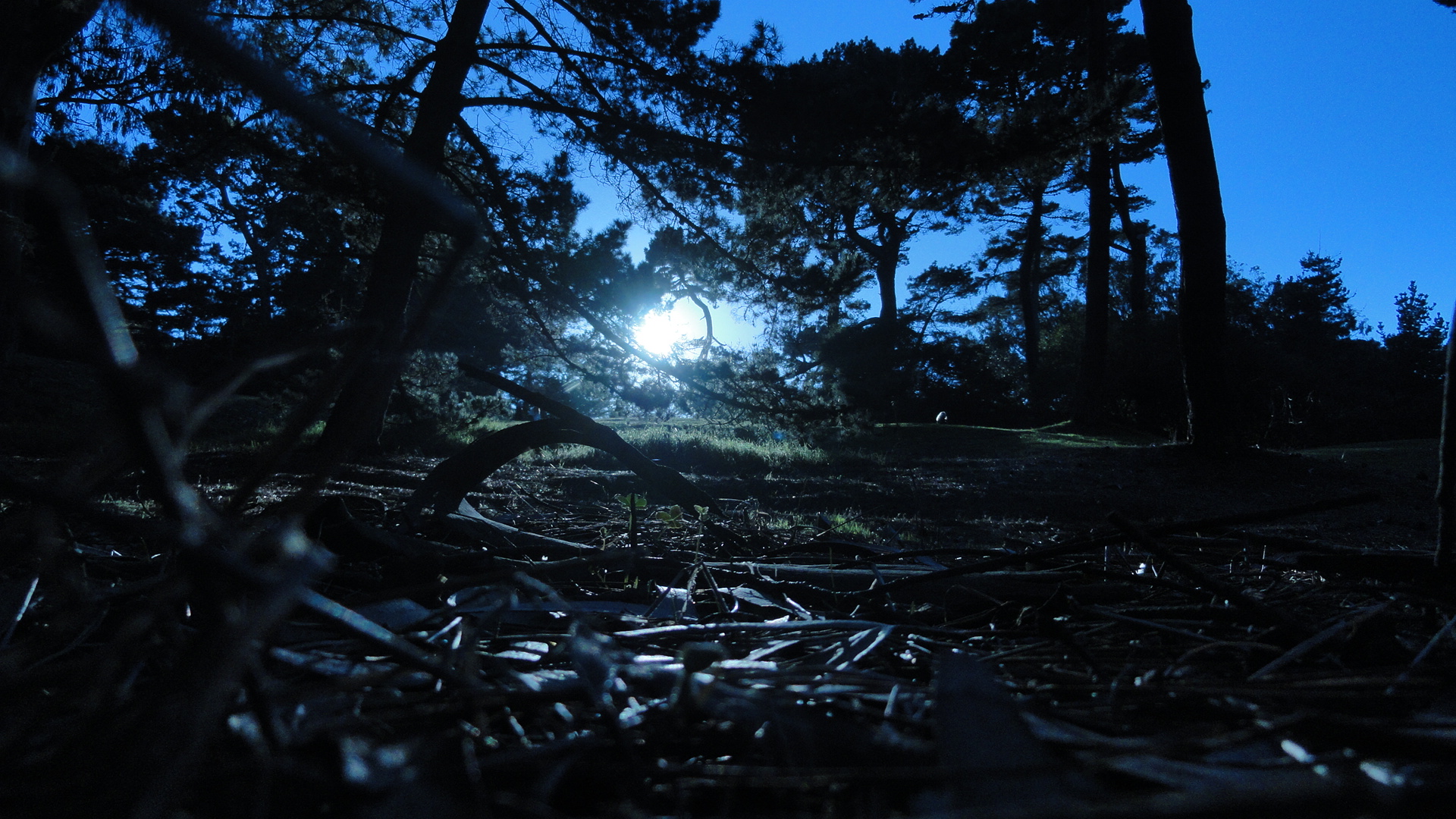 Laden Sie das Menschengemacht, Golden Gate Park-Bild kostenlos auf Ihren PC-Desktop herunter